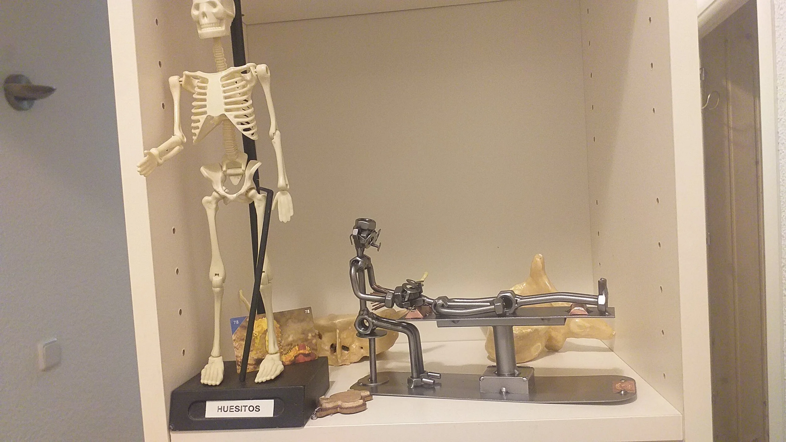 Figuras de osteopatía, incluyendo un modelo de esqueleto y modelos de vértebras, utilizados como recursos educativos en el centro de formación HARA para la enseñanza de anatomía y técnicas osteopáticas.