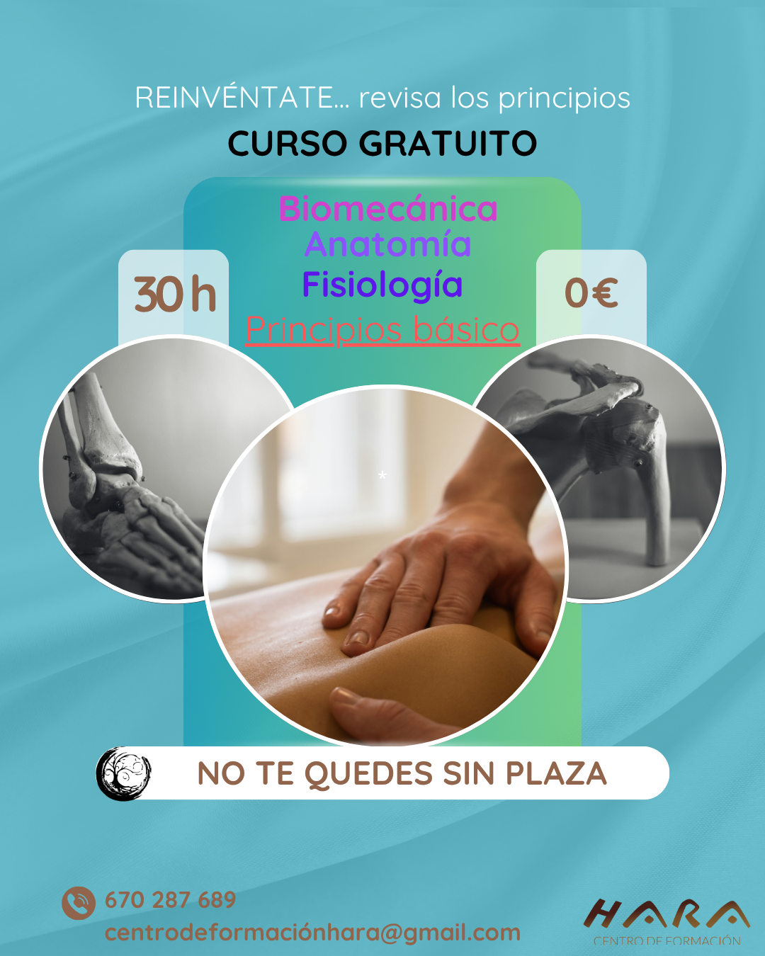 En HARA en Madrid, enseñamos técnicas de estiramiento y movilidad para prevenir lesiones y aumentar el bienestar, con ejercicios prácticos fáciles de aplicar en tu día a día y en consulta.