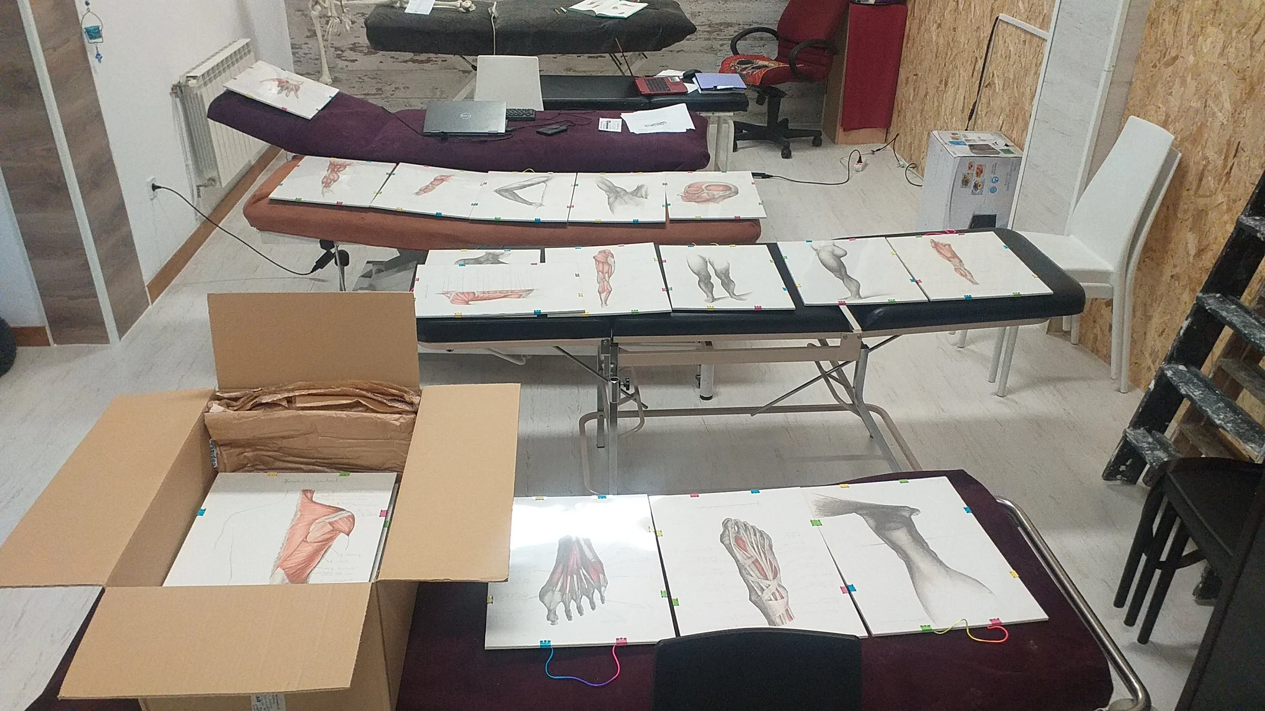 Láminas de anatomía pintadas a mano por el artista Luis Cerezo, tendidas sobre las camillas de práctica en el centro de formación HARA en Madrid, mostrando la combinación de arte y educación en anatomía.