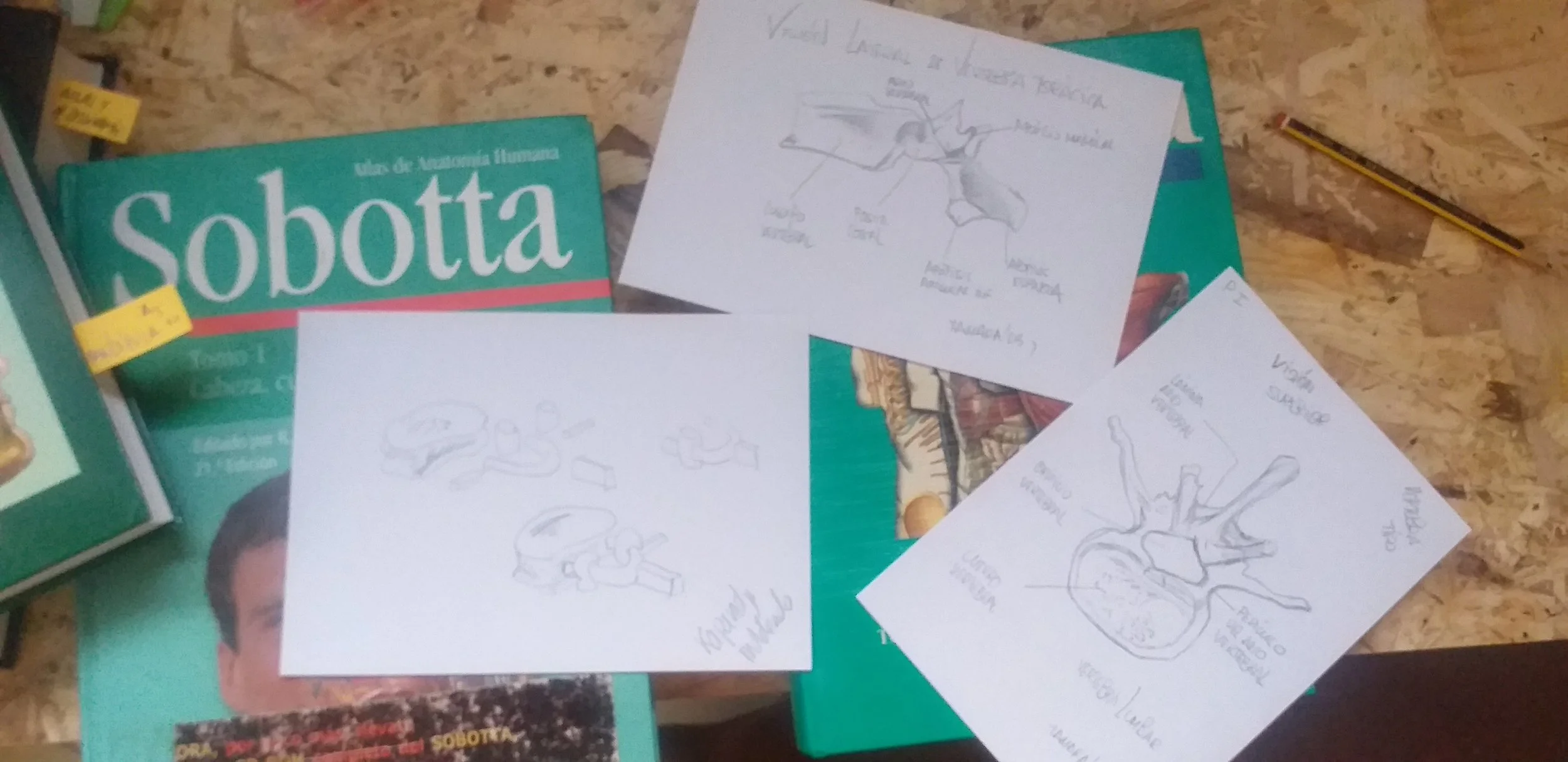 Selección de fotos, libros y láminas de anatomía en el centro de formación HARA, utilizados como recursos educativos para la enseñanza de anatomía y fisiología.