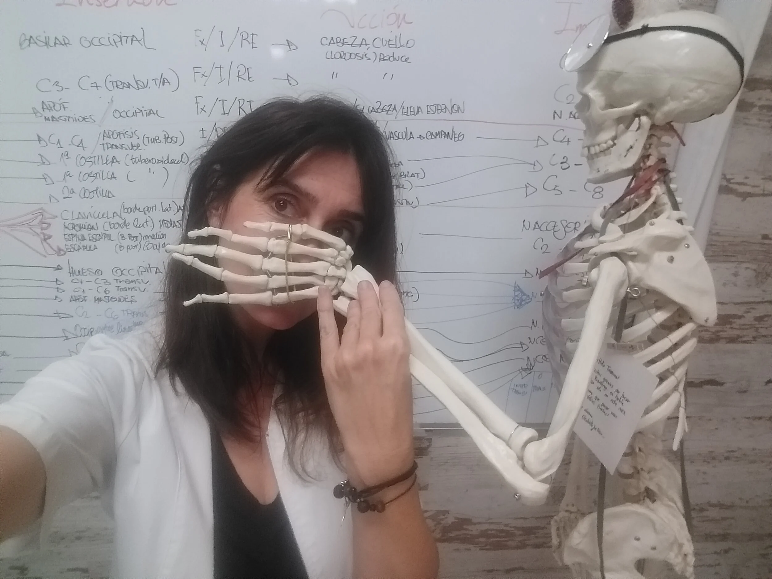 Tamara Gómez, osteópata, repasando anatomía en el centro de formación HARA, enfocándose en técnicas y conocimientos fundamentales para su práctica clínica.