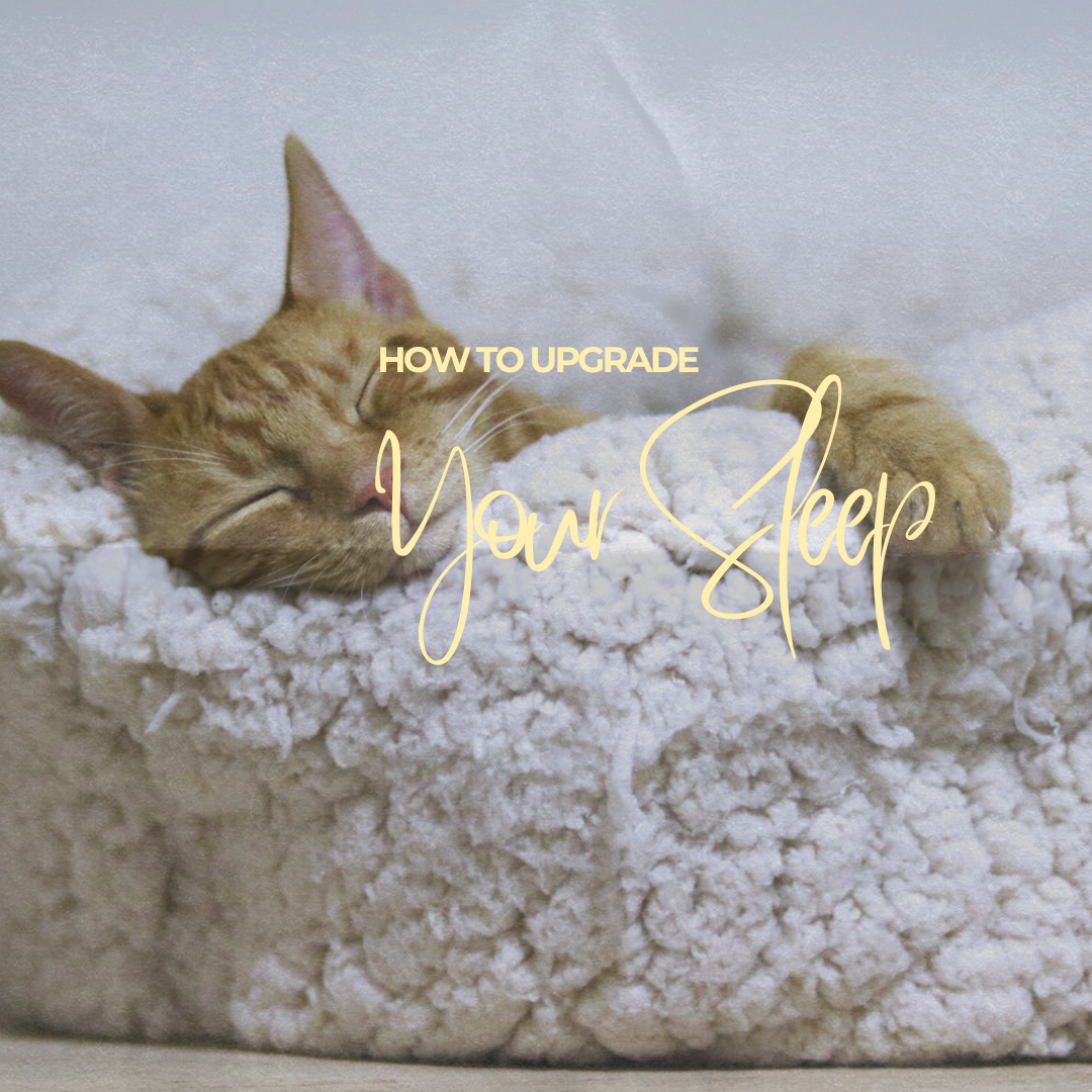 stress sleep connection
