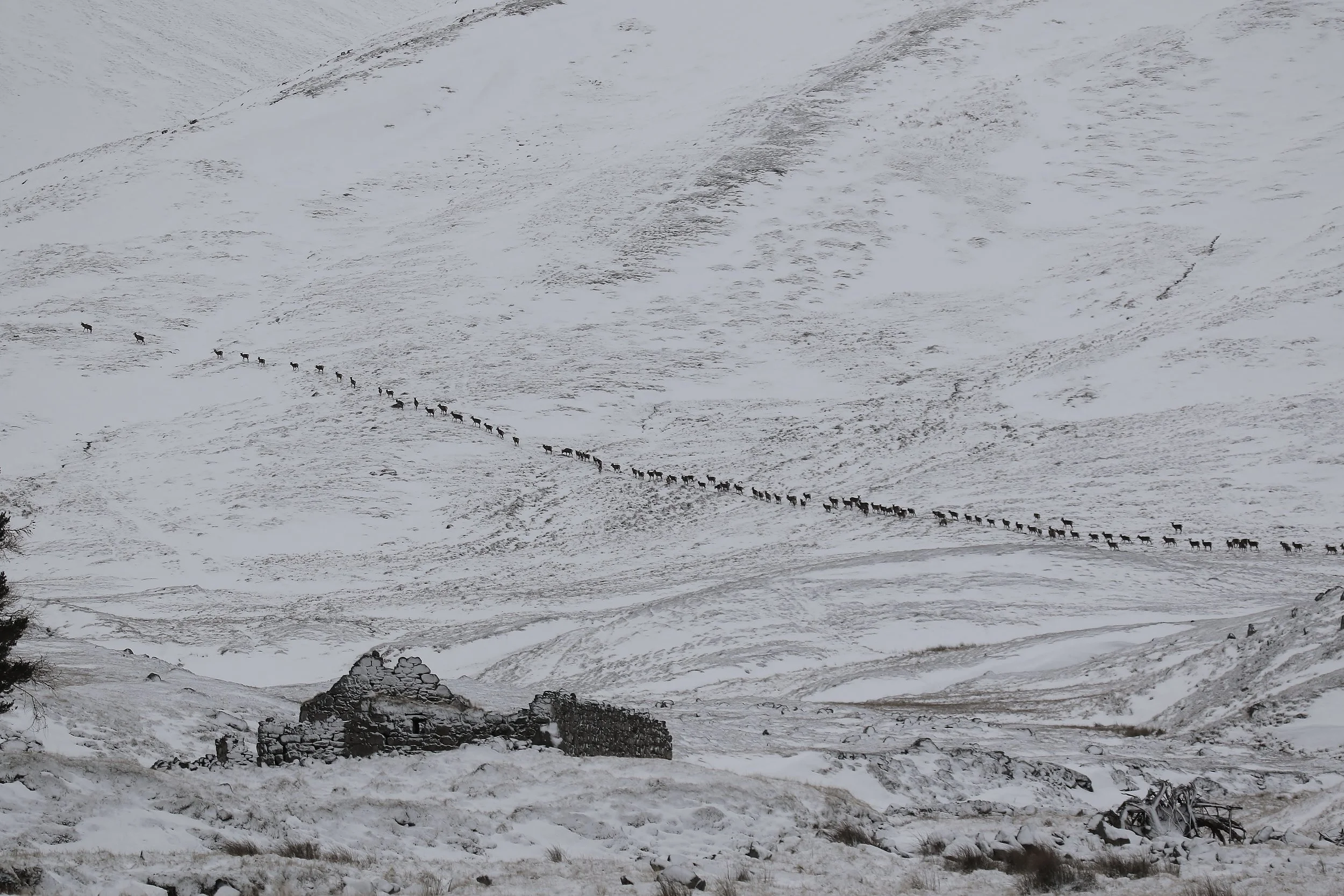 Gordon Roach photography