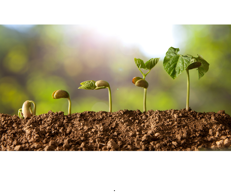 What's Growing on? — Good Things