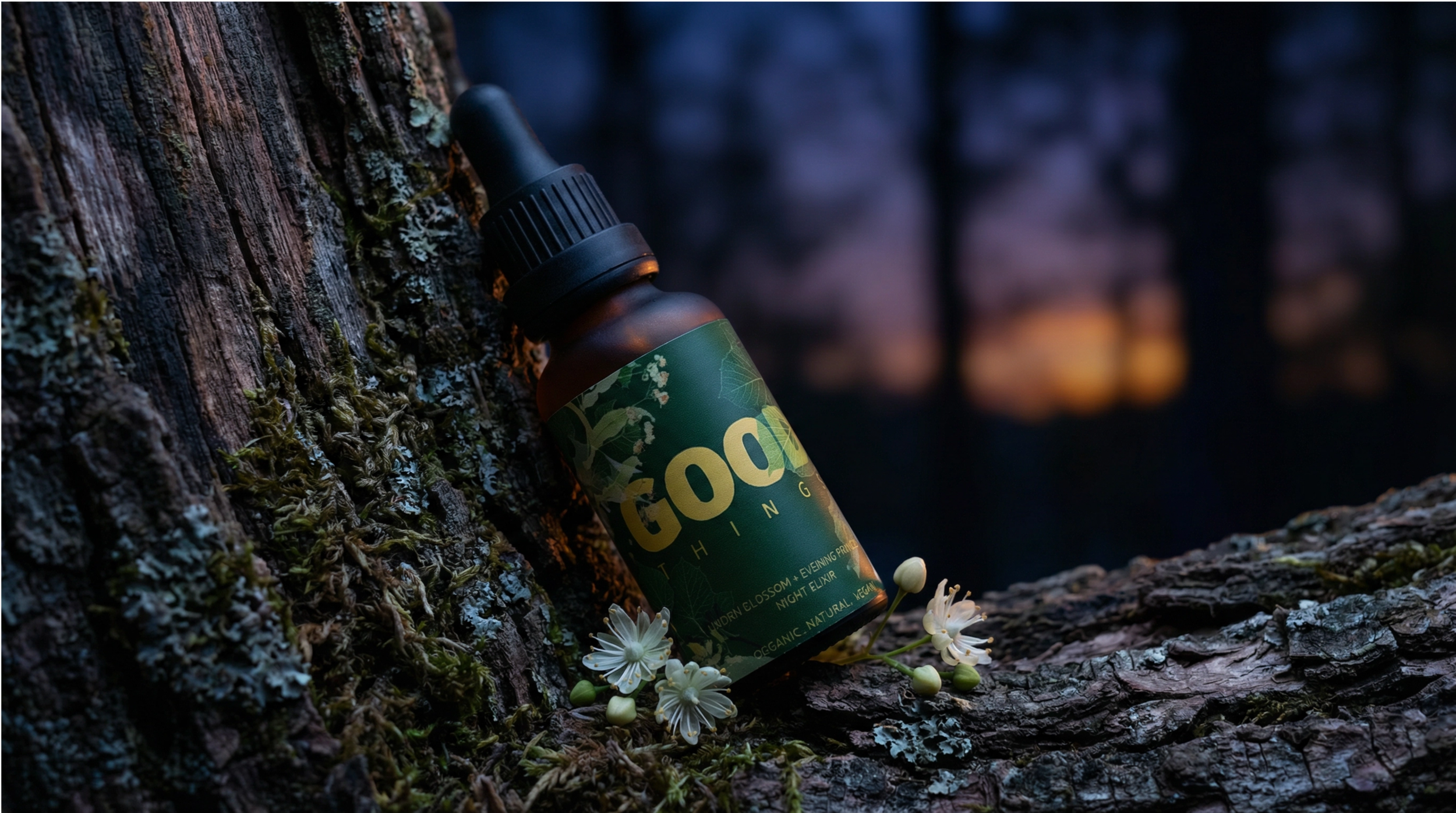 night_elixir_dusk_woodland_v3.png