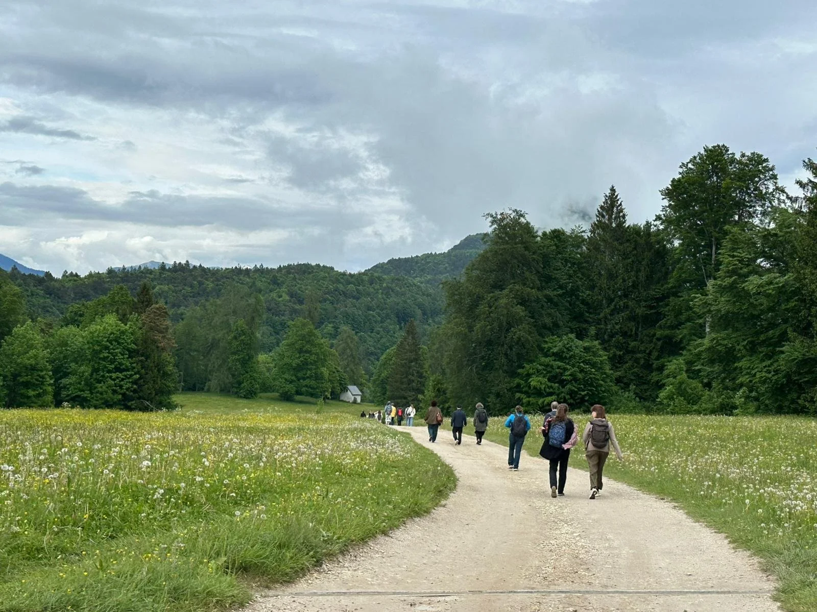 Citizens and Communities