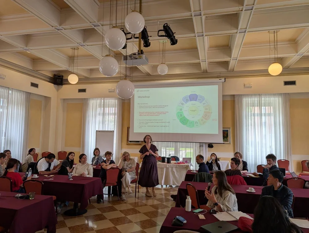 WhatsApp Image 2025-06-03 at 14.18.27.jpeg