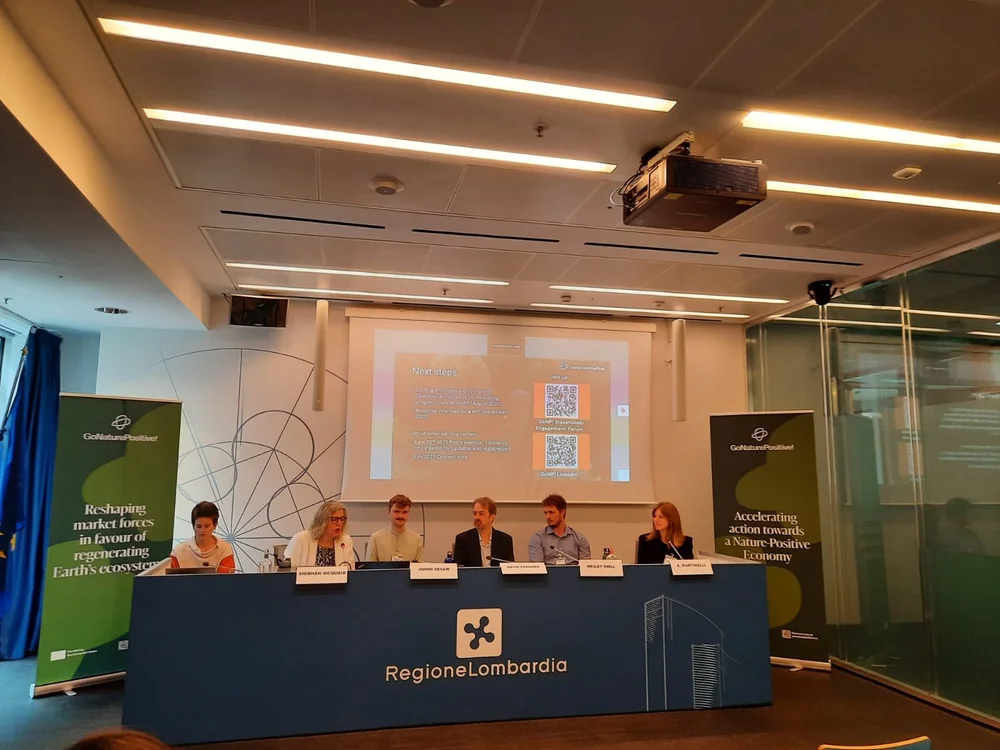 WhatsApp Image 2025-06-03 at 18.26.46.jpeg