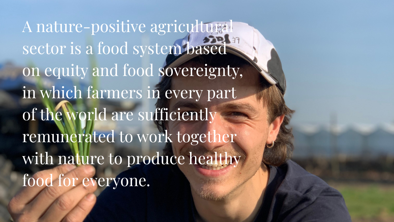Cultivating Change: An Interview with Voedsel Anders on Agrifood Transformation