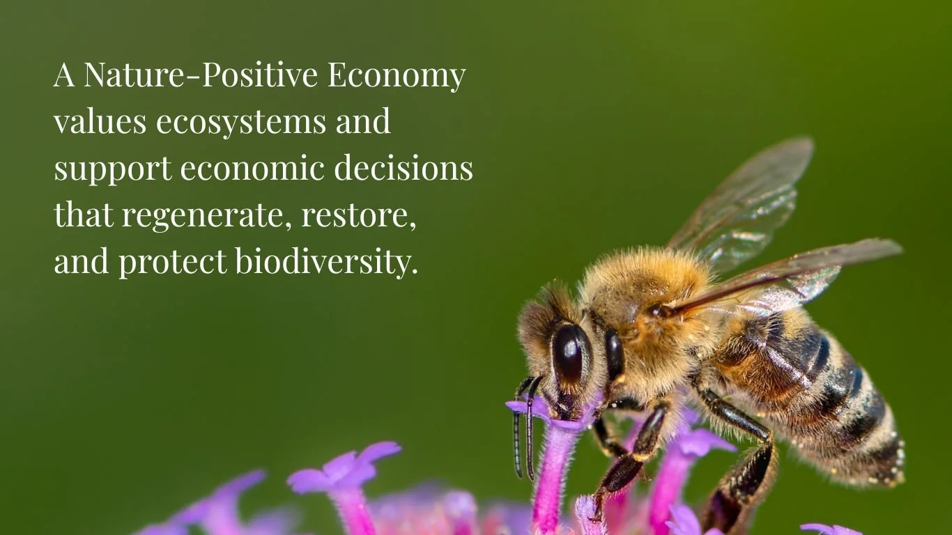 Pollinators as Economic Partners: An Interview with ICLEI Colombia on Nature-Positive Urban Development