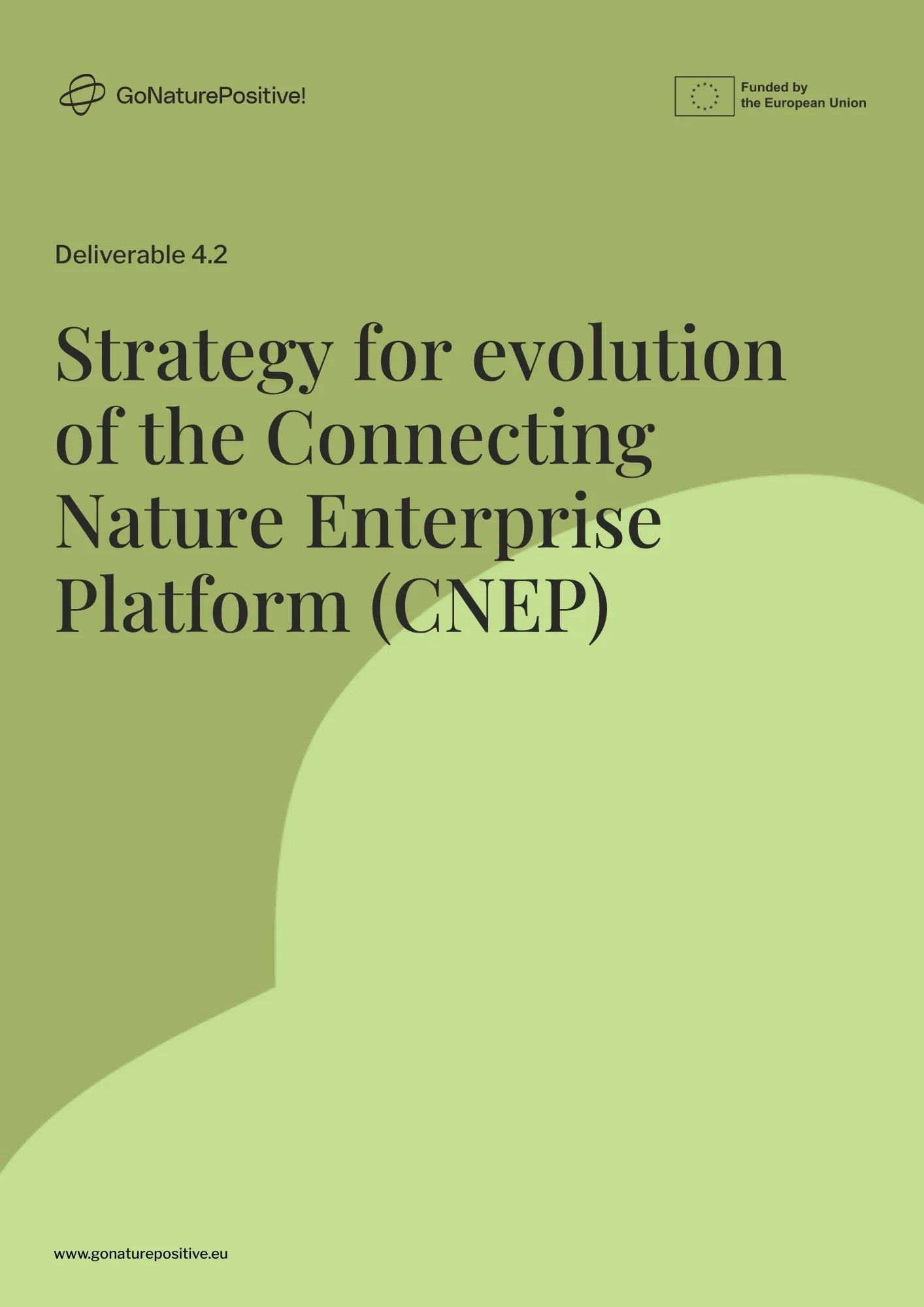 Strategy for evolution of the CNEP