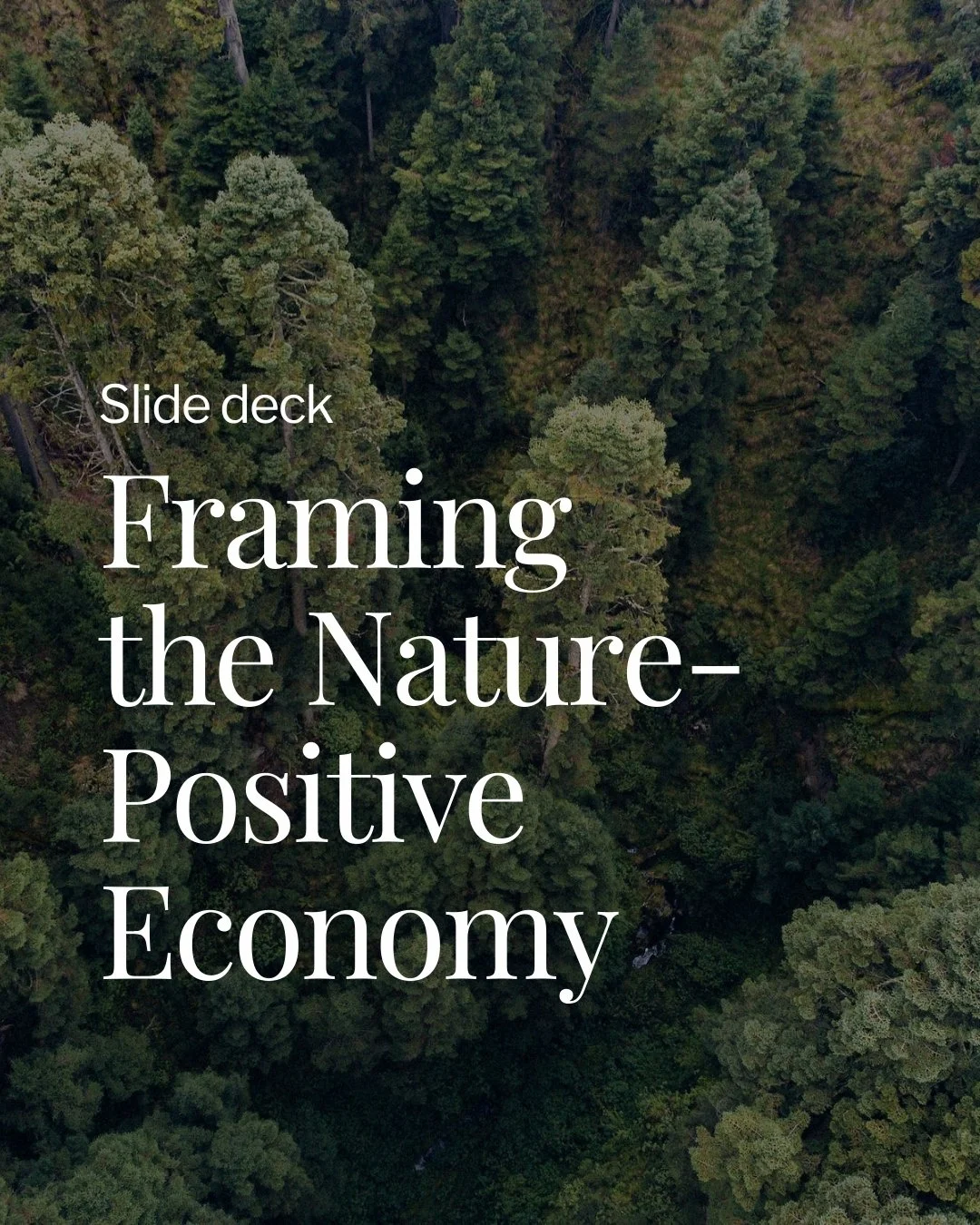Slide Deck: Framing the Nature-Positive Economy