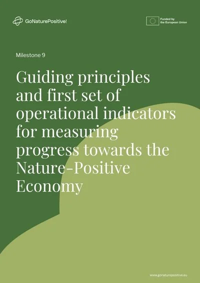 Guiding principles and first set of operational indicators for measuring progress towards the NPE
