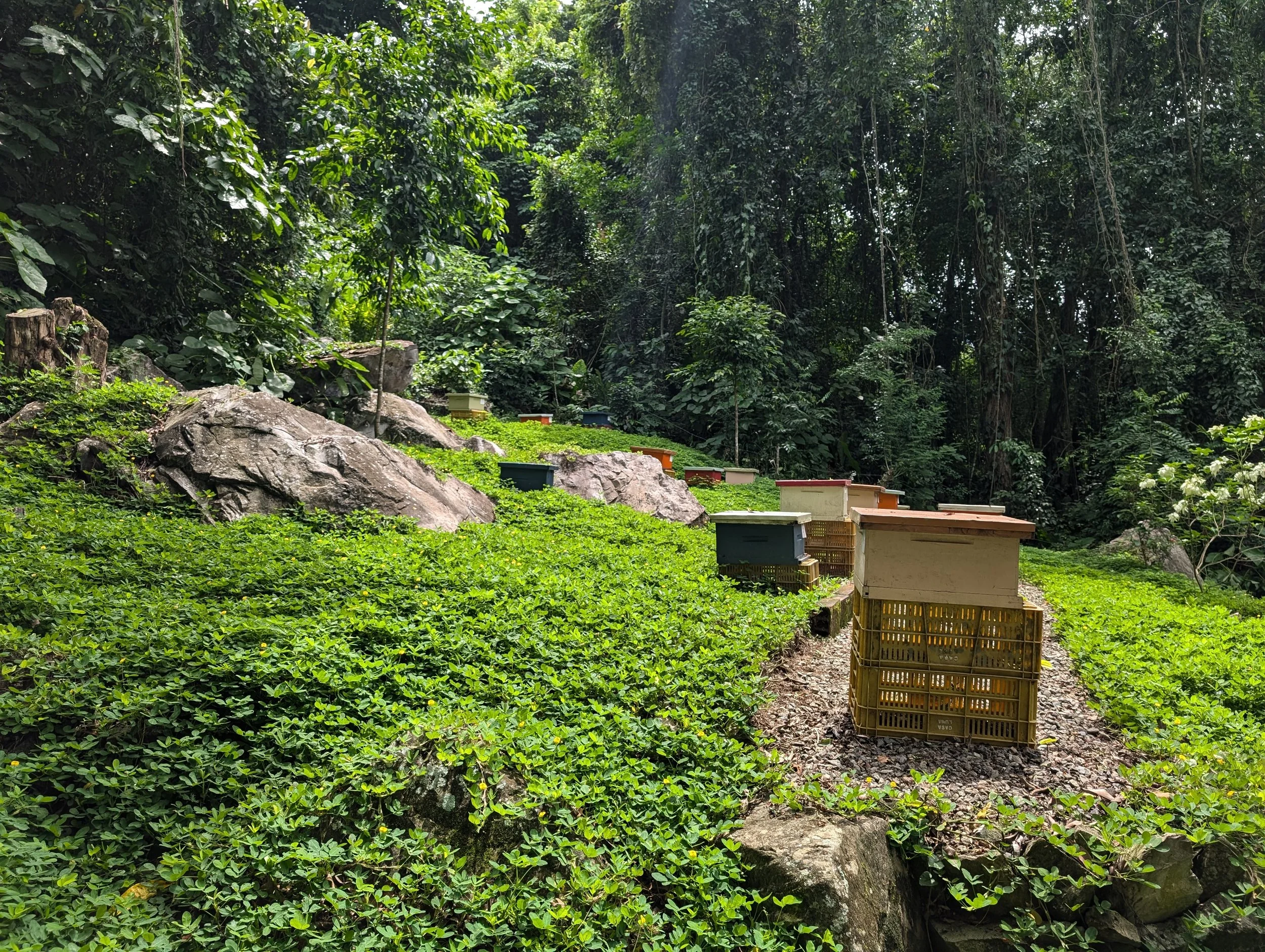 Nature-based Enterprises