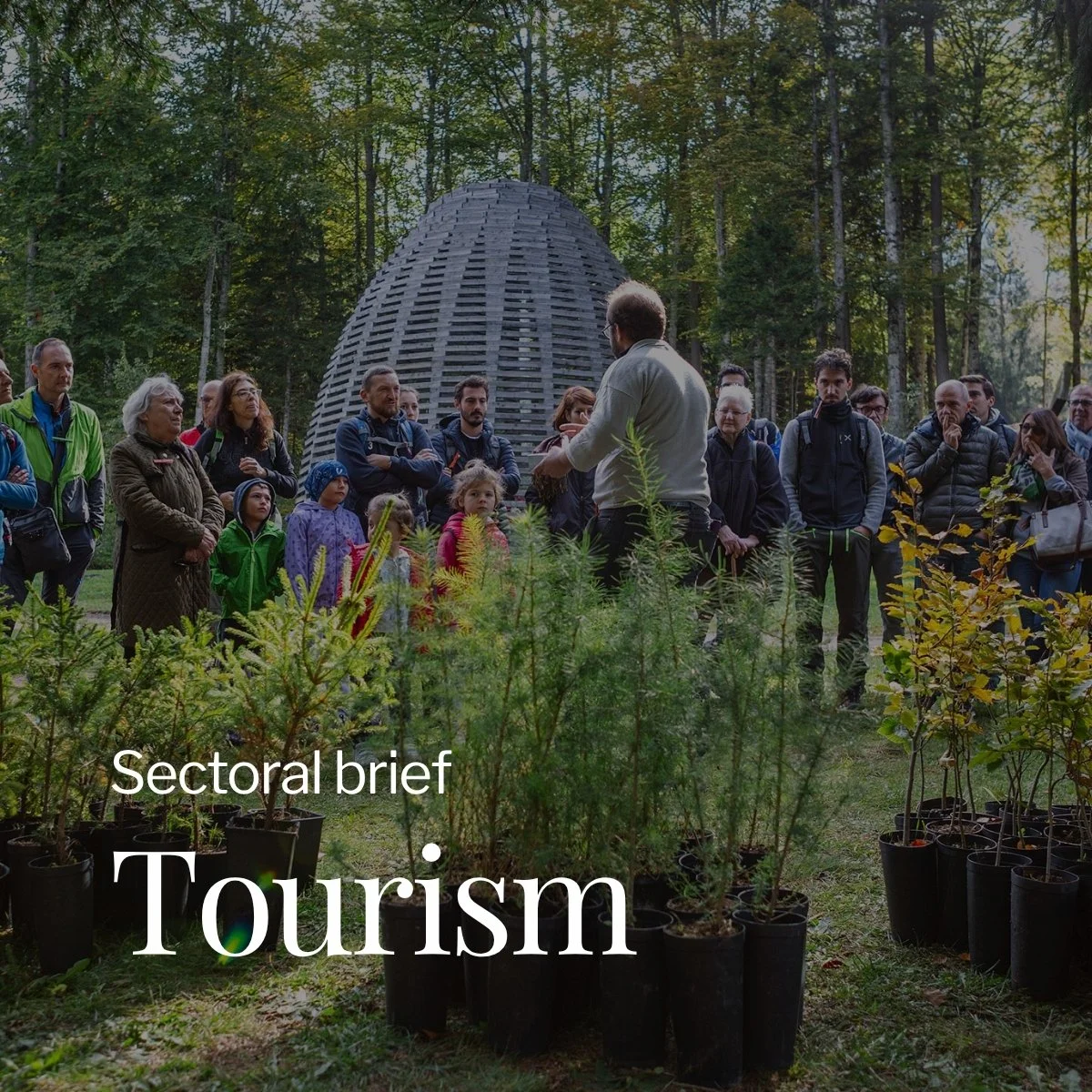 Sectoral Brief Tourism
