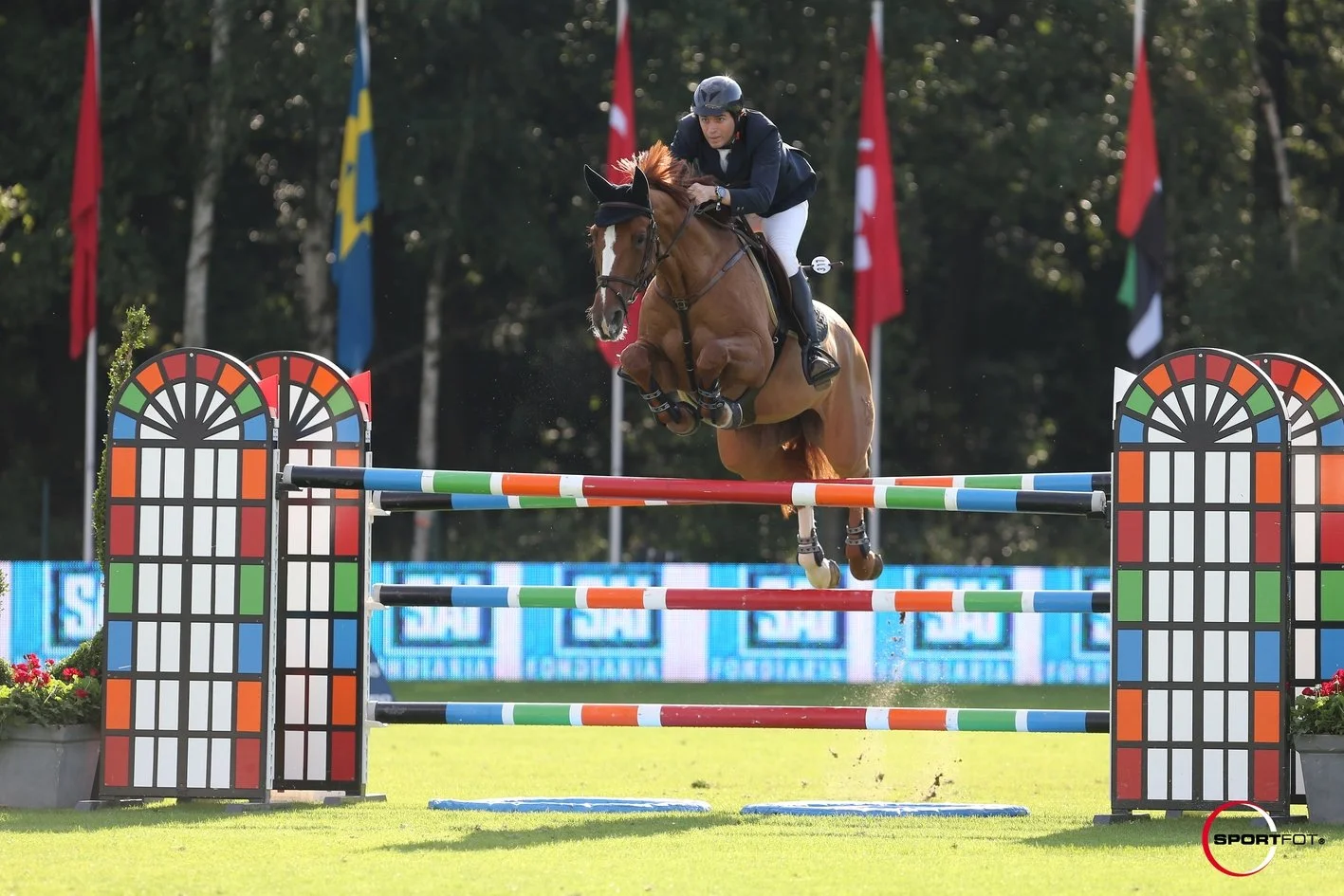 For Rosa's Pleasure GCT2.JPG