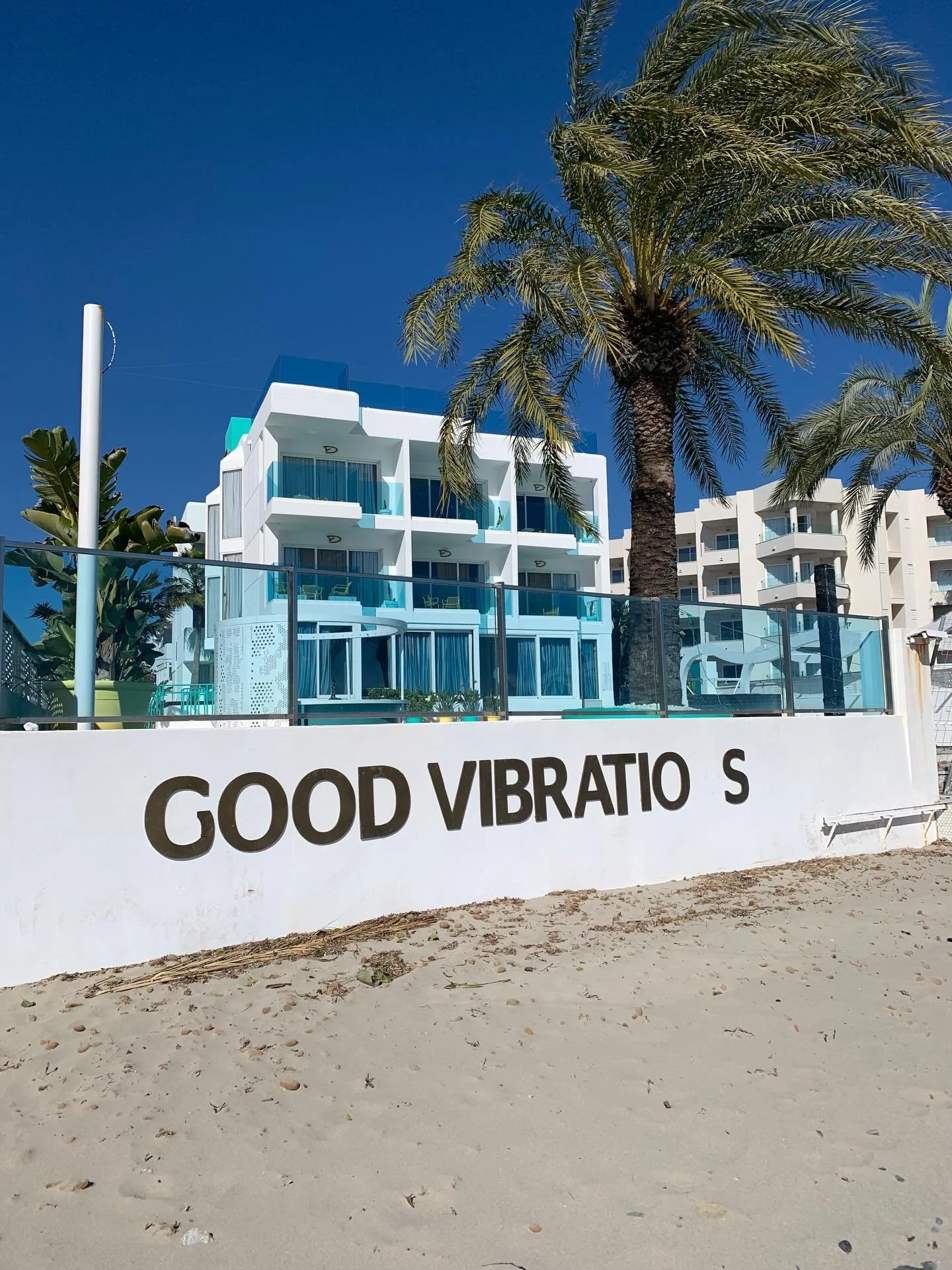 N 🌴 #ibiza2026 #goodvibes