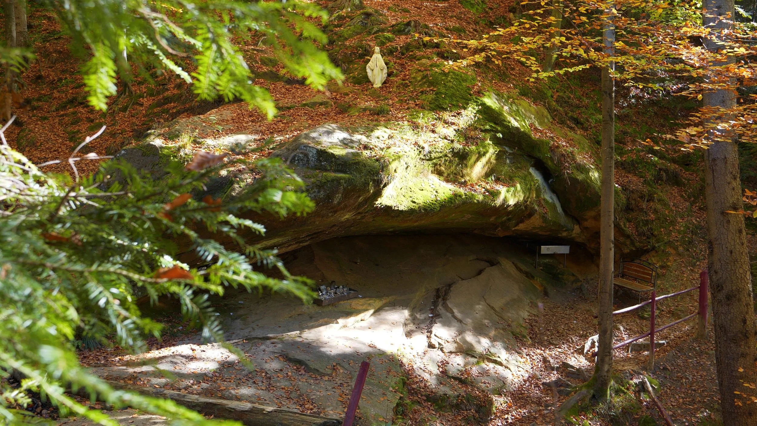 A forest scene with a small cave or overhang formed by large moss-covered rocks. There are autumn leaves on the ground and a statue of a religious figure, possibly the Virgin Mary, on top of the mossy rocks in the background. A bench and a railing are visible beside the cave entrance.