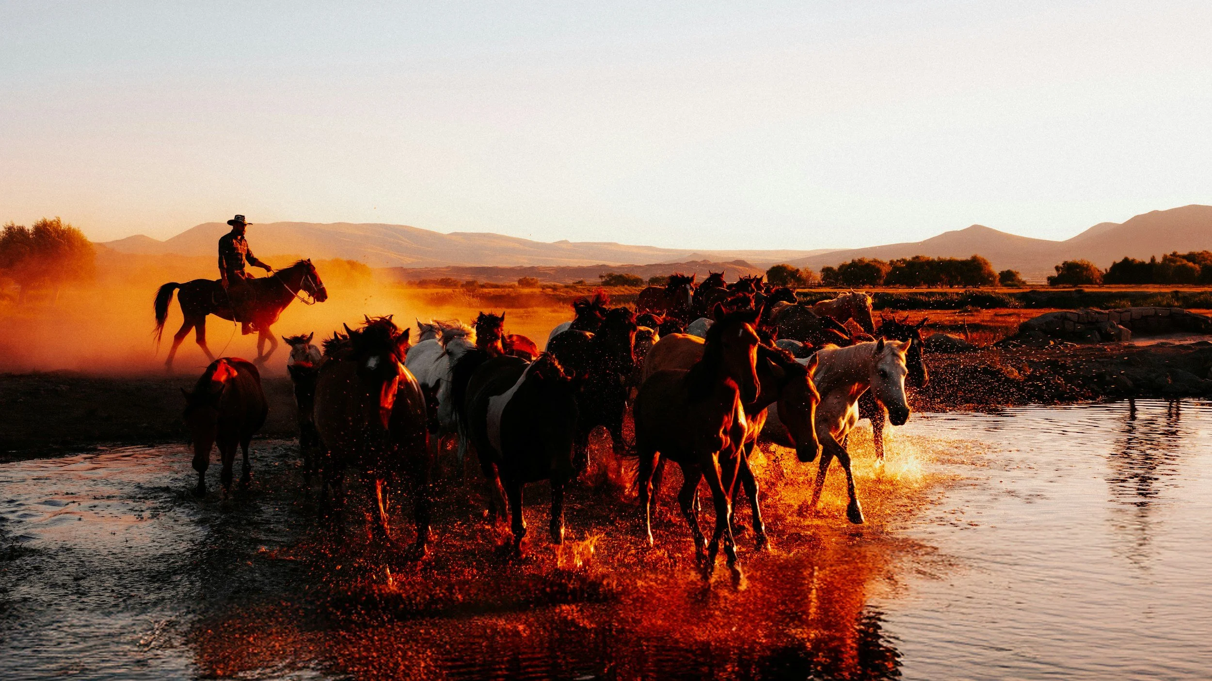 A cowboy riding a horse on a dusty trail at sunset with a group of horses crossing a water stream in a rural landscape with mountains in the background.