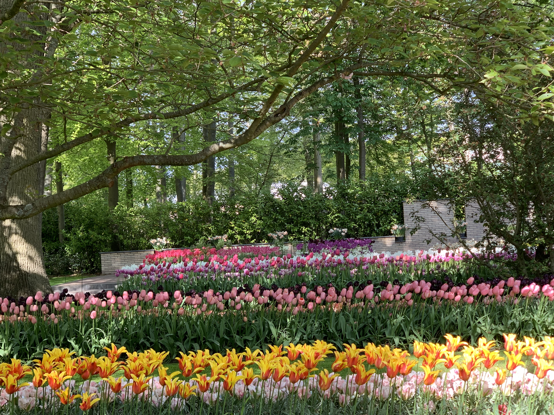 van der Glas & van der Glas