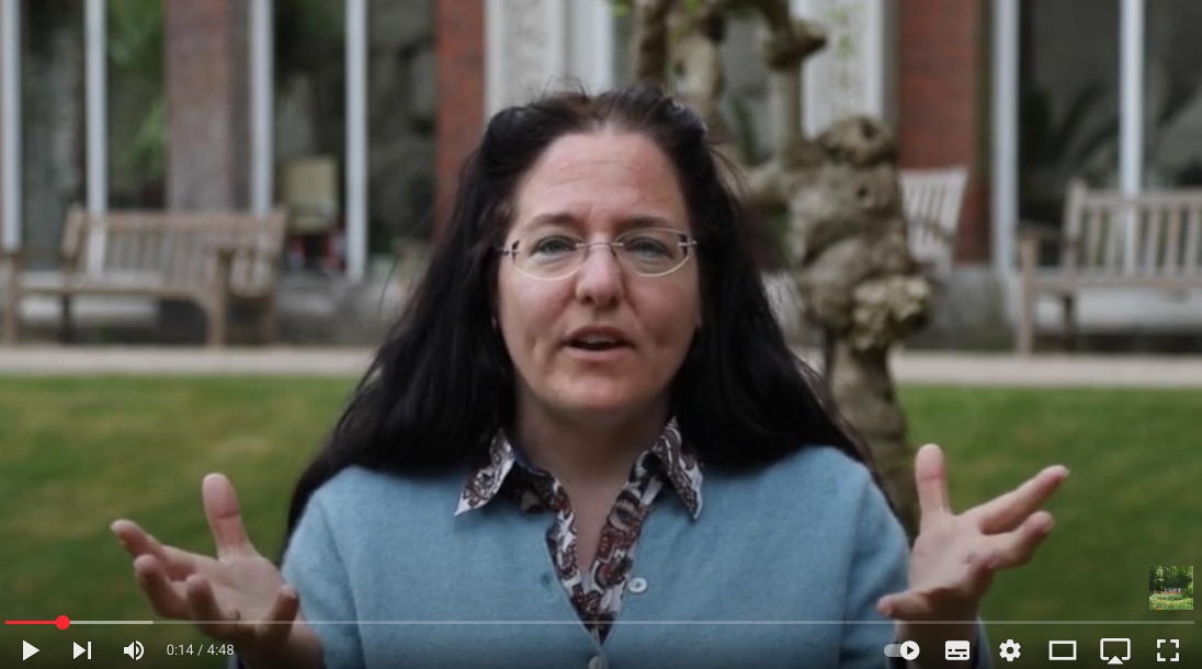 Manuela van der Glas about the Executive Coaching Experience, sharing 4 real-life experiences.