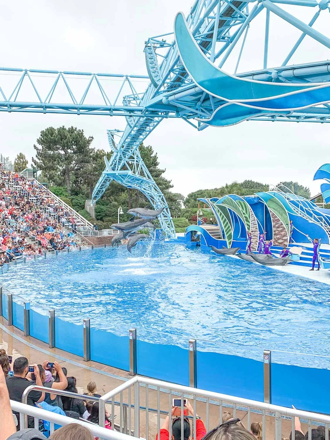crowd watching dolphins jump in air at Dolphin show at SeaWorld San Diego