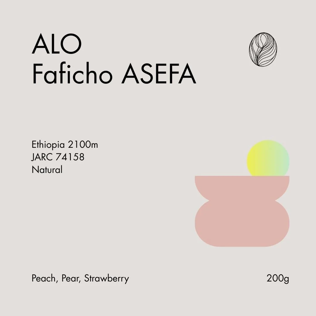 ALO Faficho ASEFA Natural