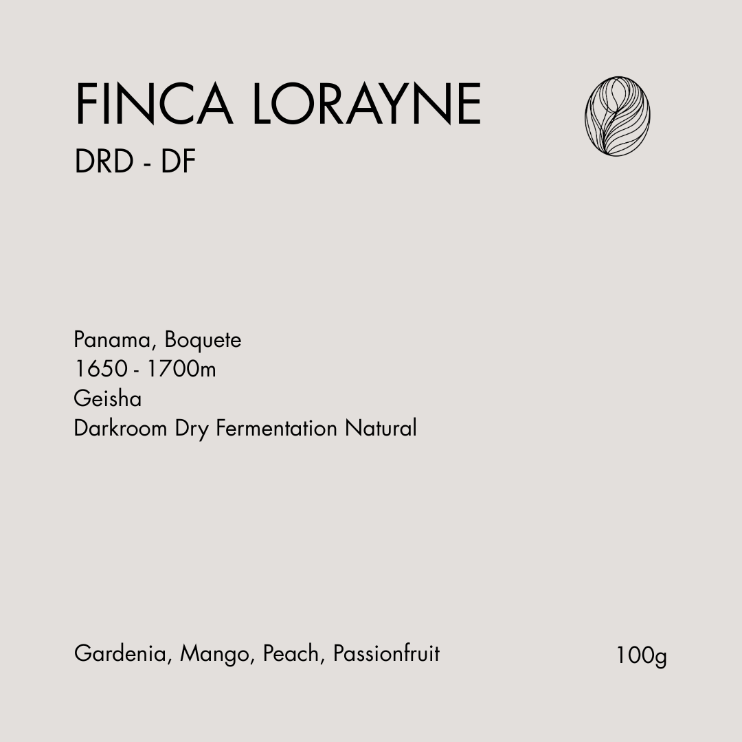 Panama - Finca Lorayne - DRD DF Geisha