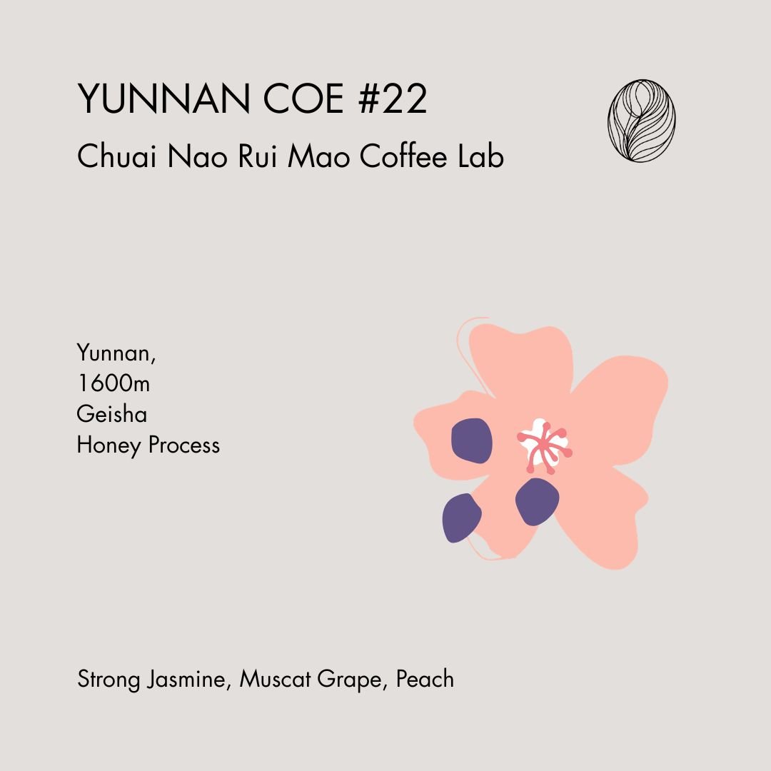 YUNNAN COE #22 • Chuai Nao Rui Mao Coffee Lab