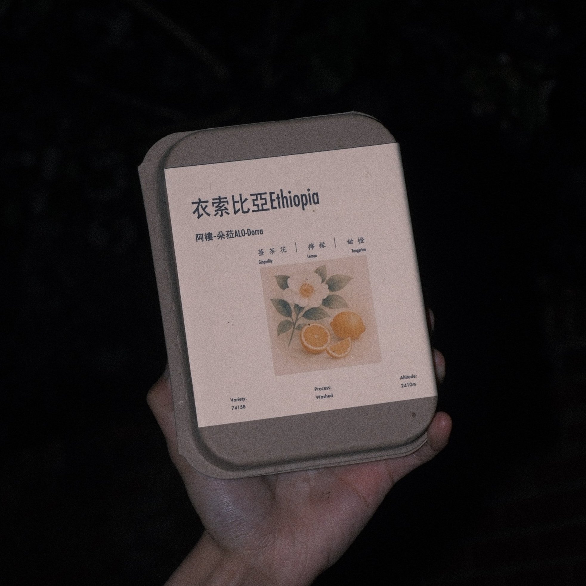 DSCF1363.jpg