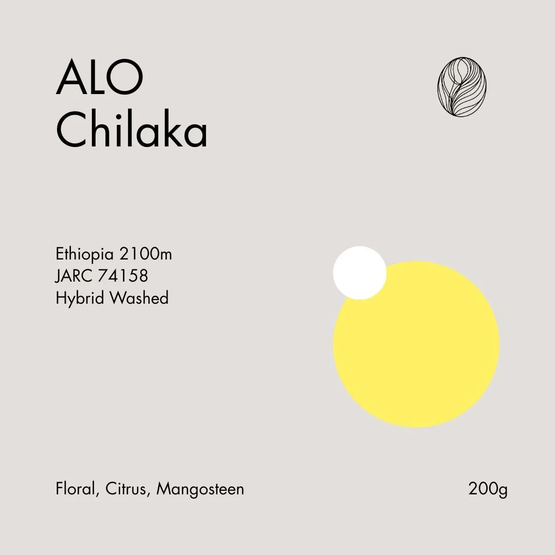 ALO Chilaka Hybrid Washed