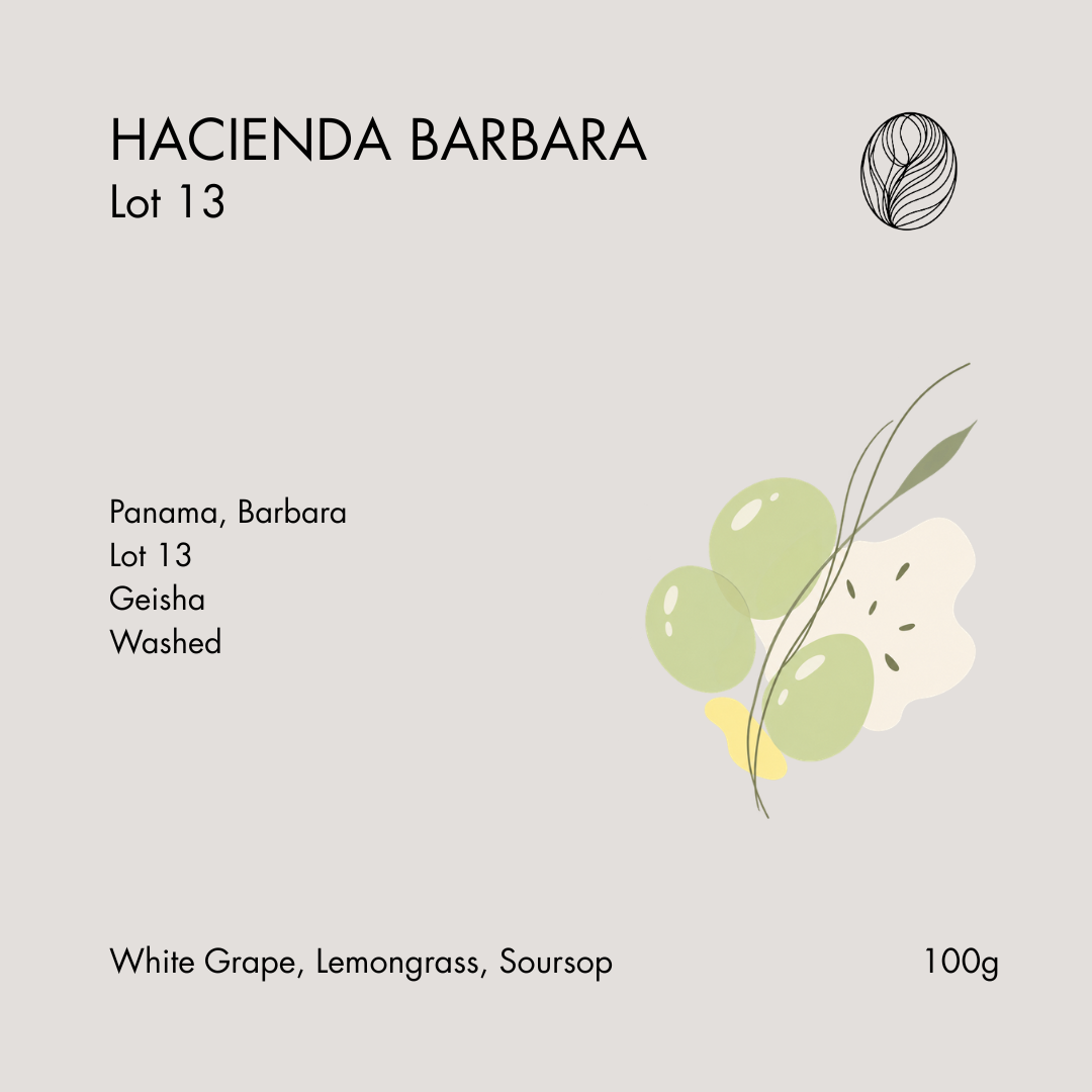 HACIENDA BARBARA • Lot 13 – Washed Geisha 100g