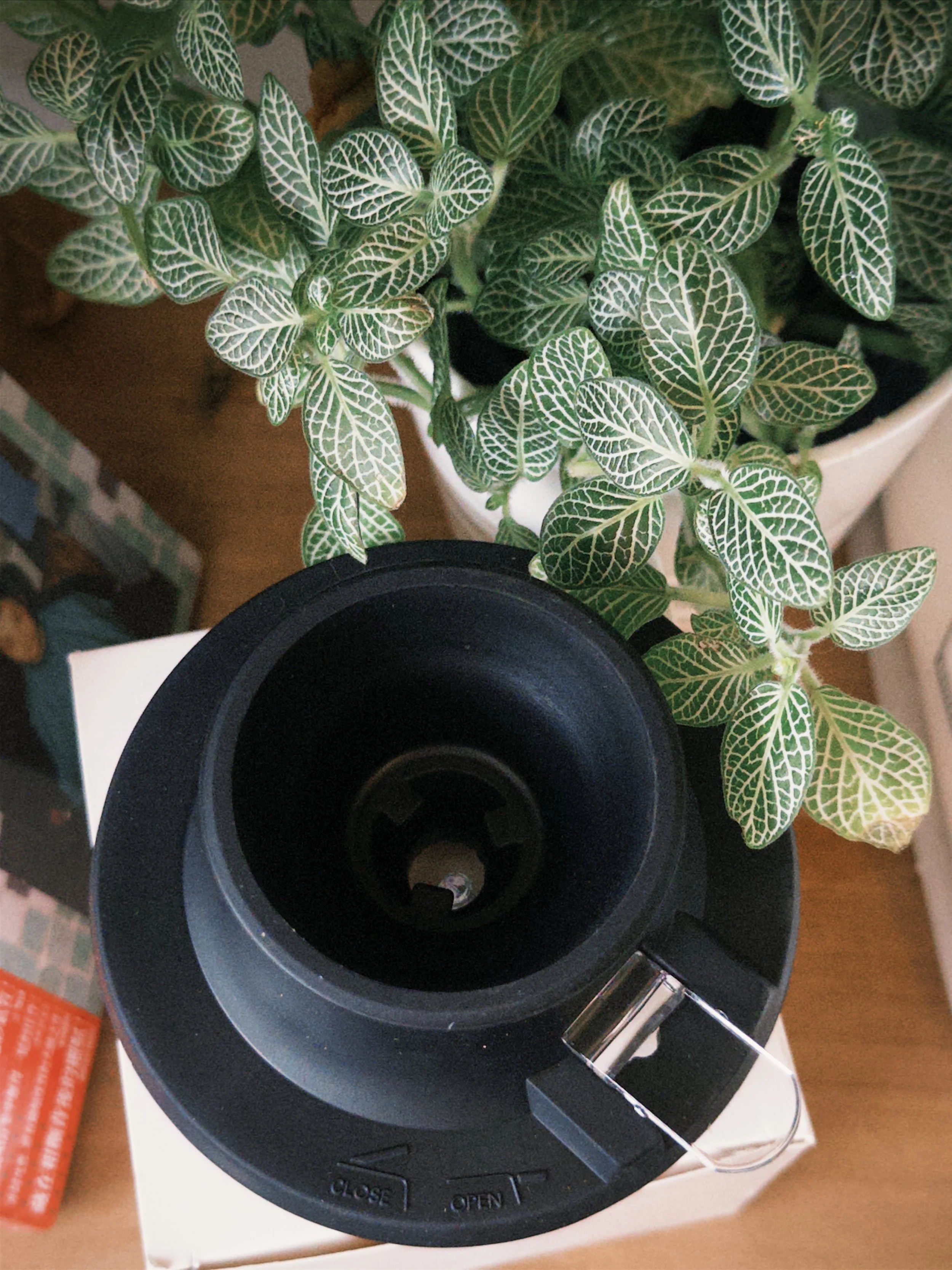 Switch Base for most Conical Drippers