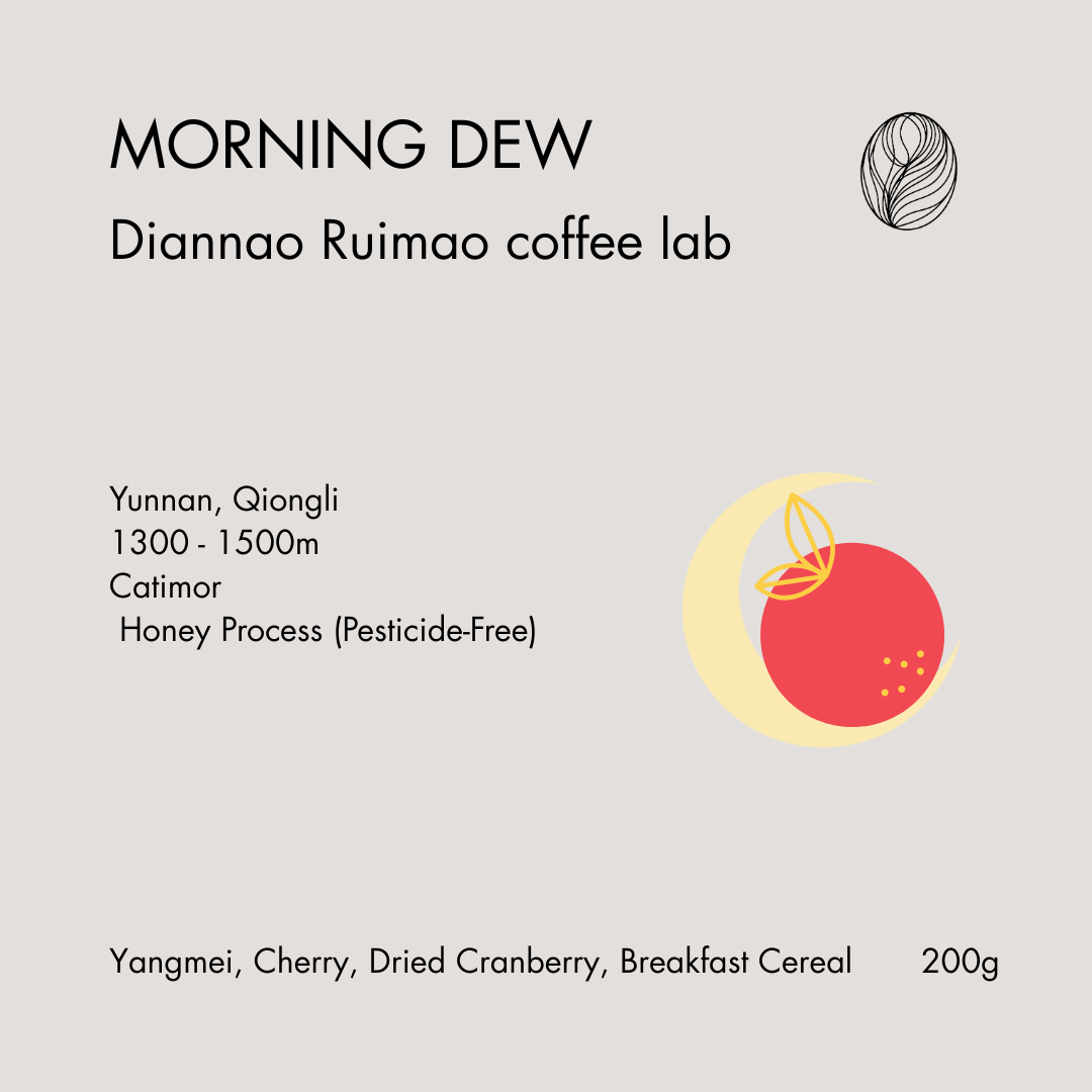 Yunnan • Morning Dew