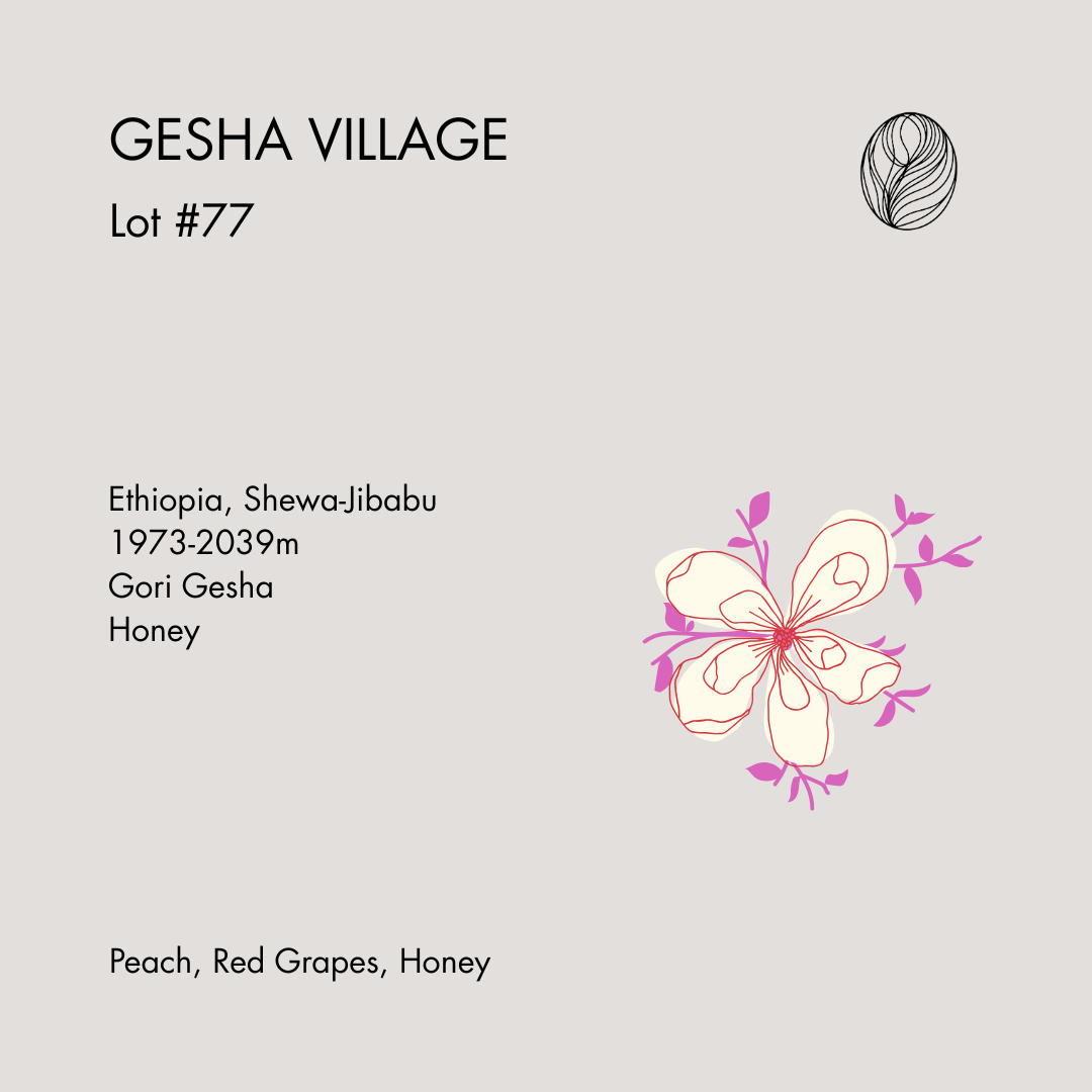 GEISHA VILLAGE • Lot #77 200g