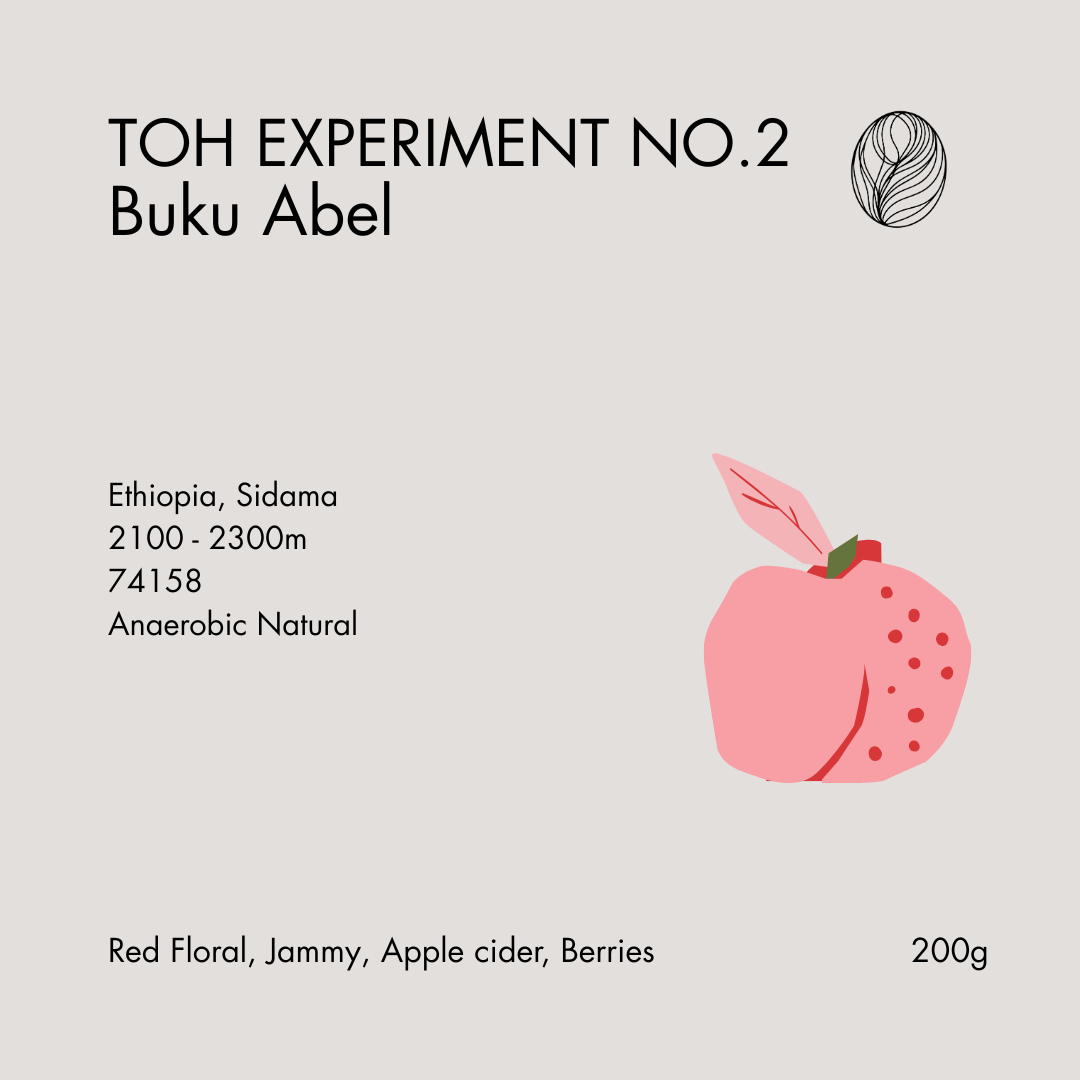 TOH Experiment No.2 • Buku Abel