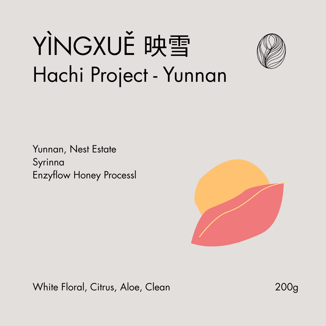 Hachi Project Lot 40: YÌNGXUĚ (映雪) – KYŌ