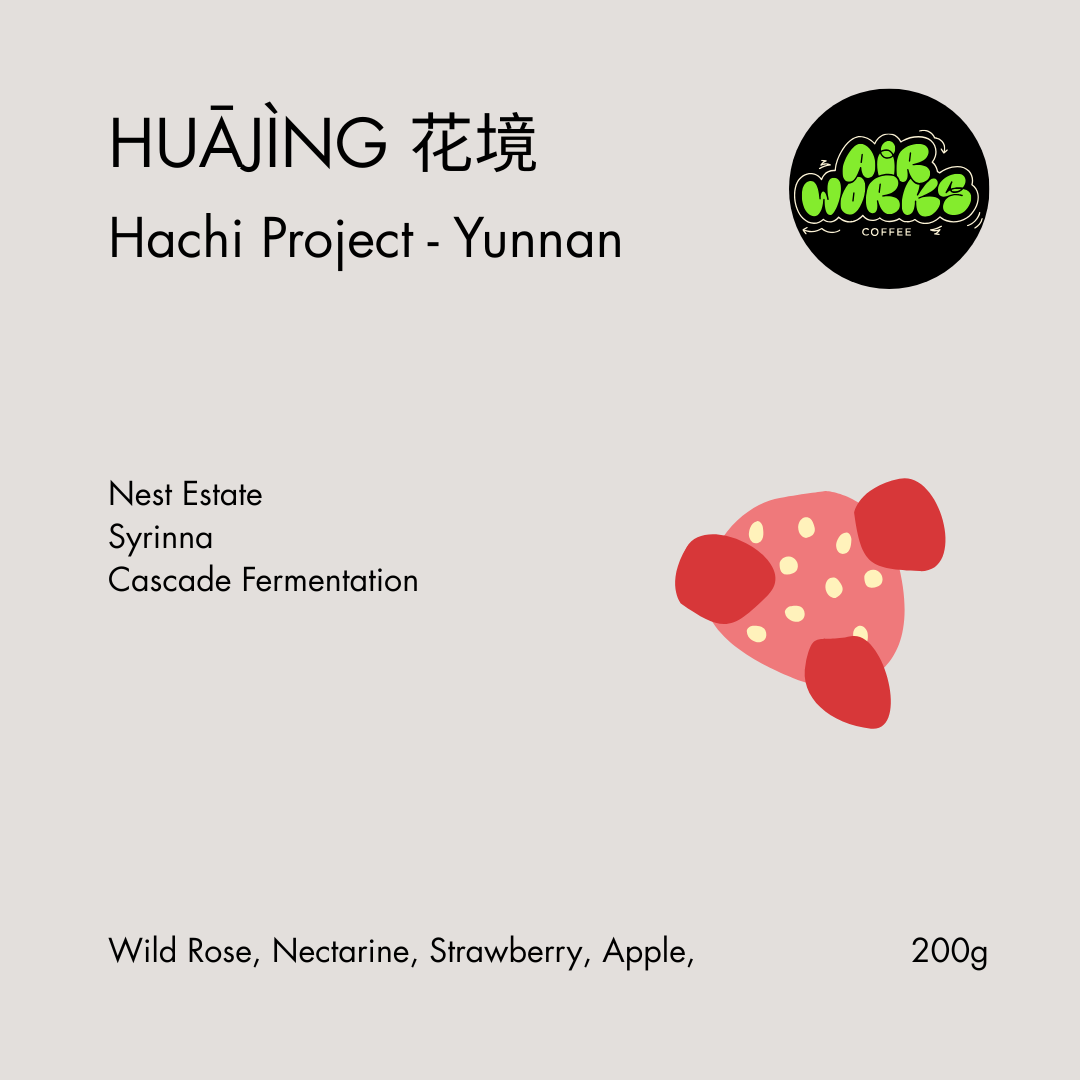 Airworks release: Hachi Yunnan – LOT 37-1 • 花境 Huājìng