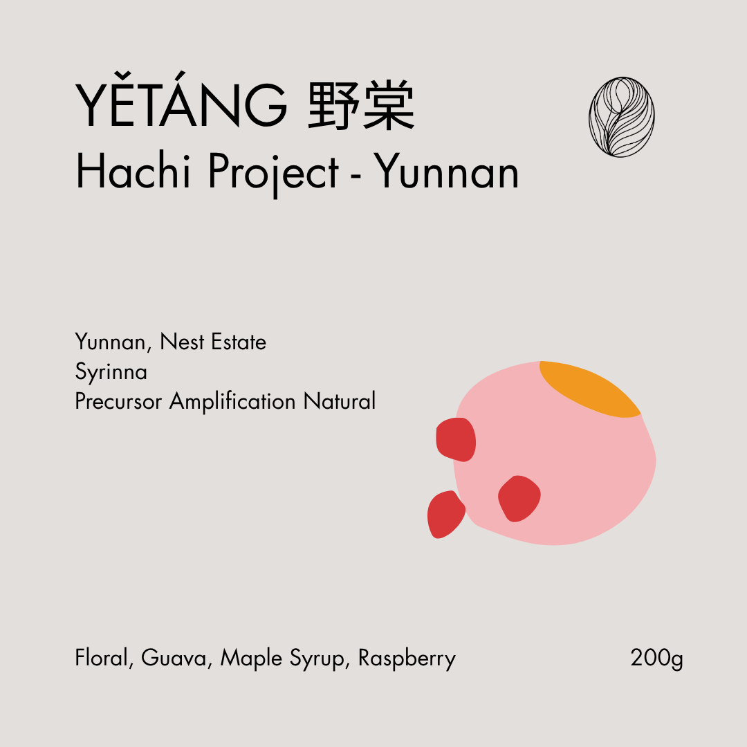 Hachi Project Lot 38: YĚTÁNG (野棠)