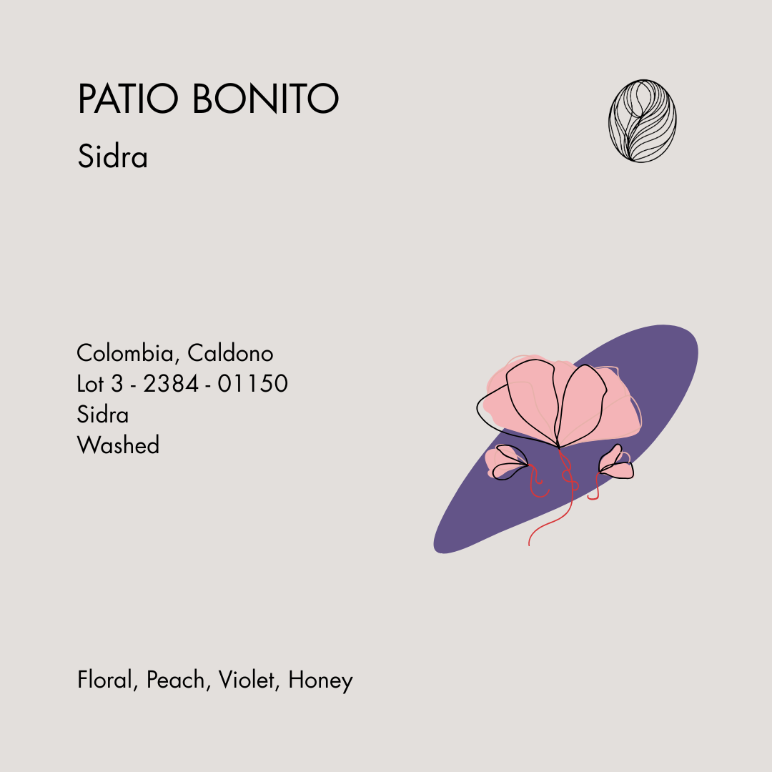PATIO BONITO • Sidra Washed