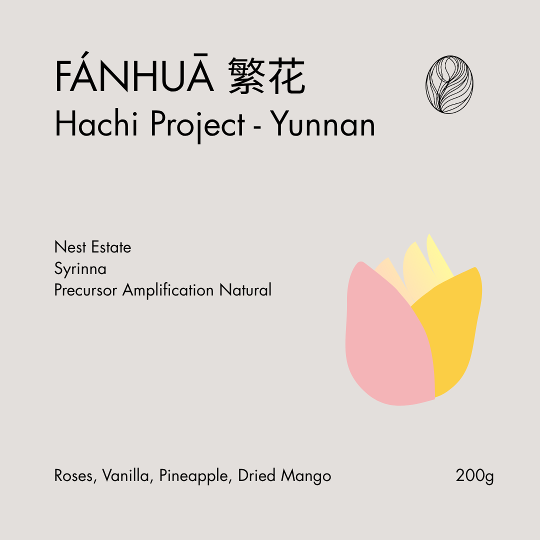 Hachi Project Lot 35-1: FÁNHUĀ (繁花)