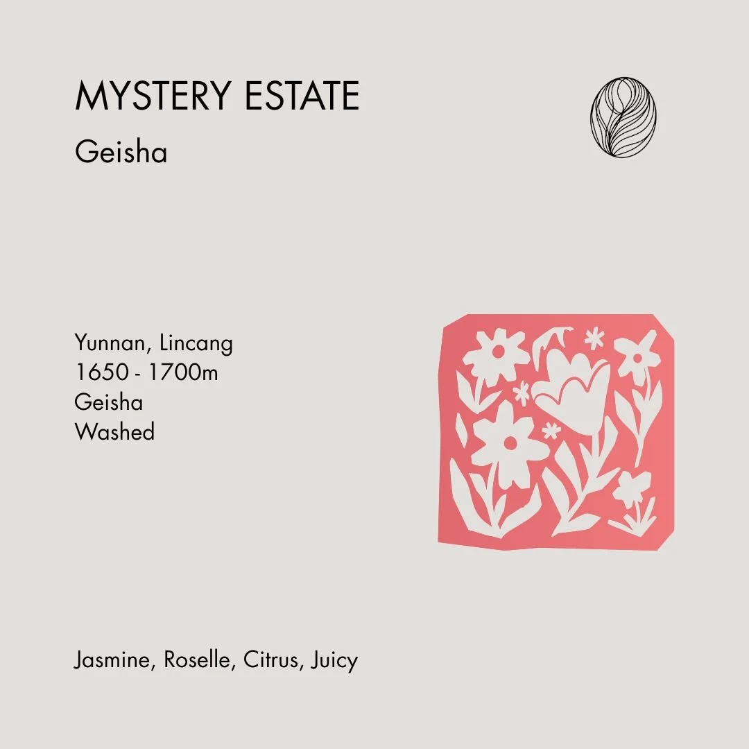 MYSTERY ESTATE • Yunnan Geisha Washed