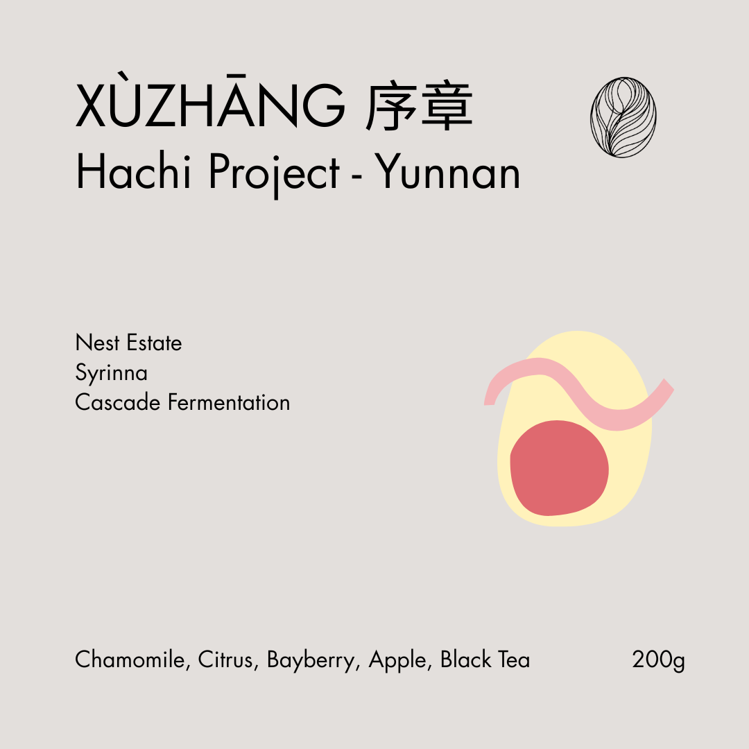 Hachi Yunnan LOT 42 • 序章 (Xùzhāng)
