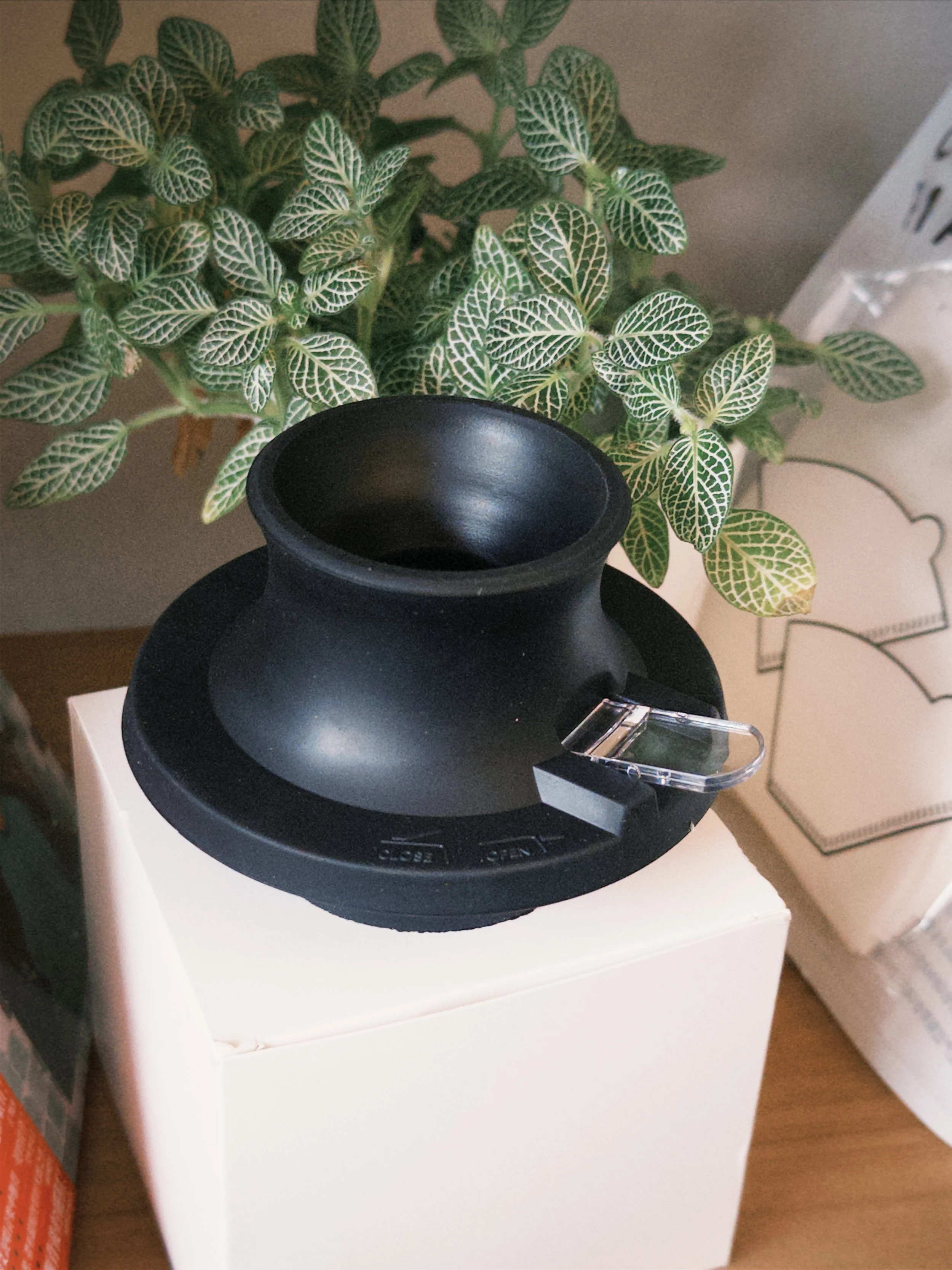 fxn 2025-12-12 142111.473.JPG