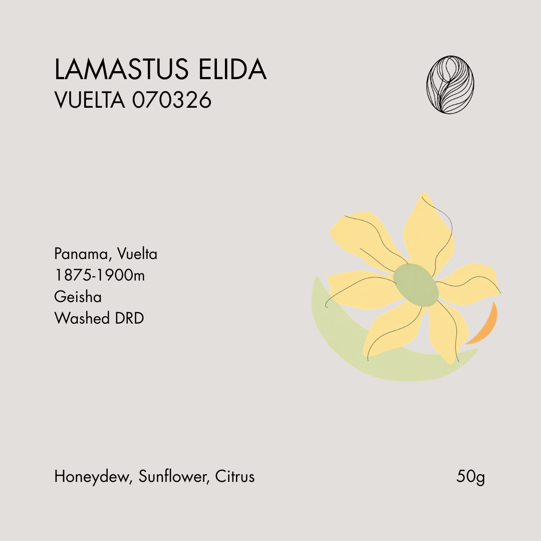 LAMASTUS ELIDA • Vuelta 070326 – Washed DRD Geisha 50g