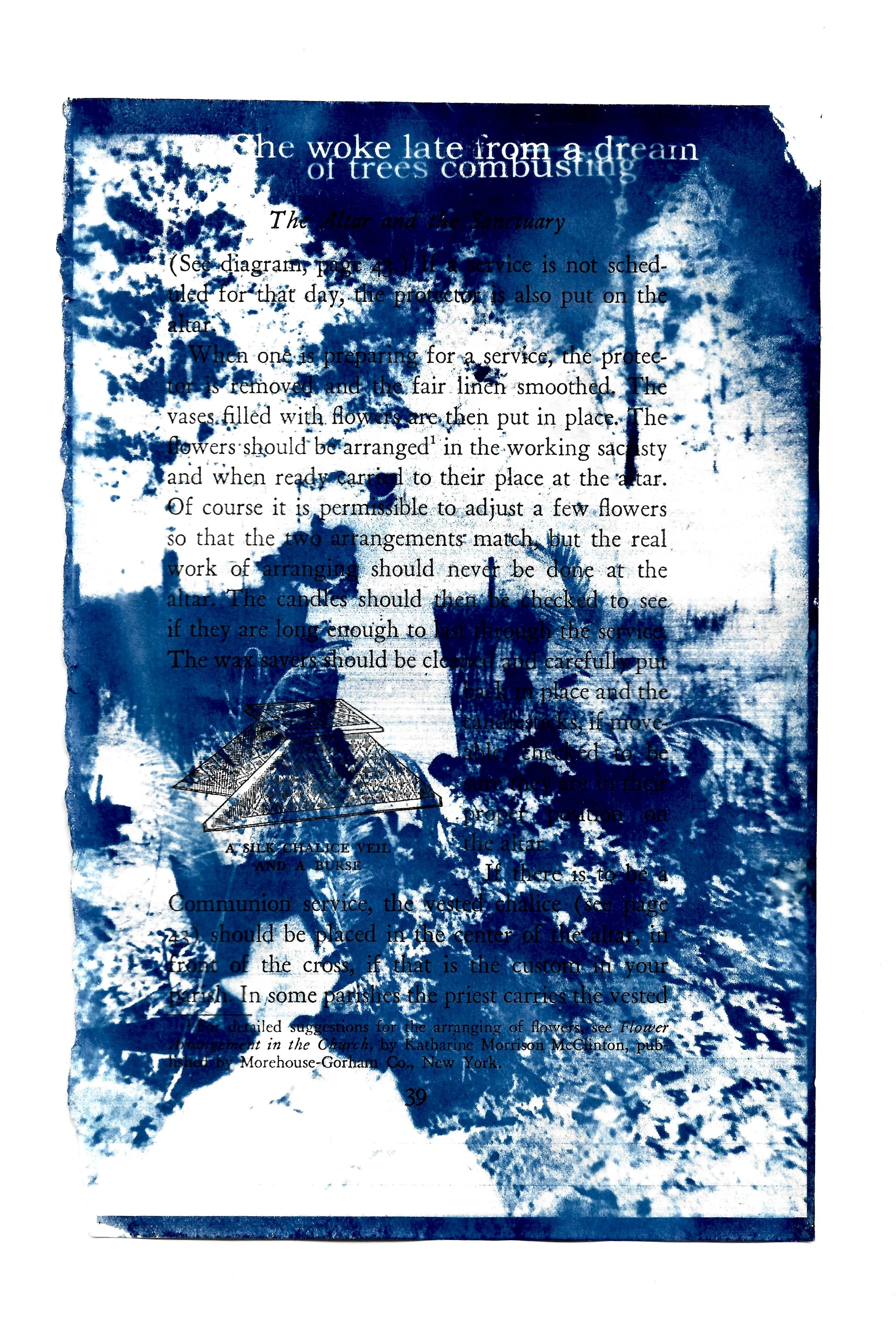 cyanotype photo and original text developed on book page