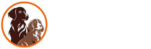 Fife Doggy Homecare