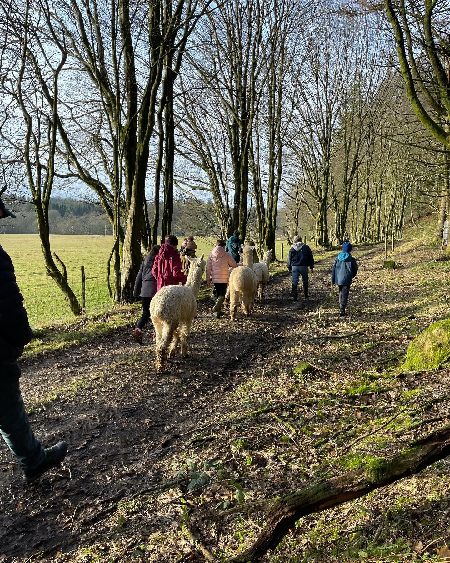 Lovely day for a walk today.