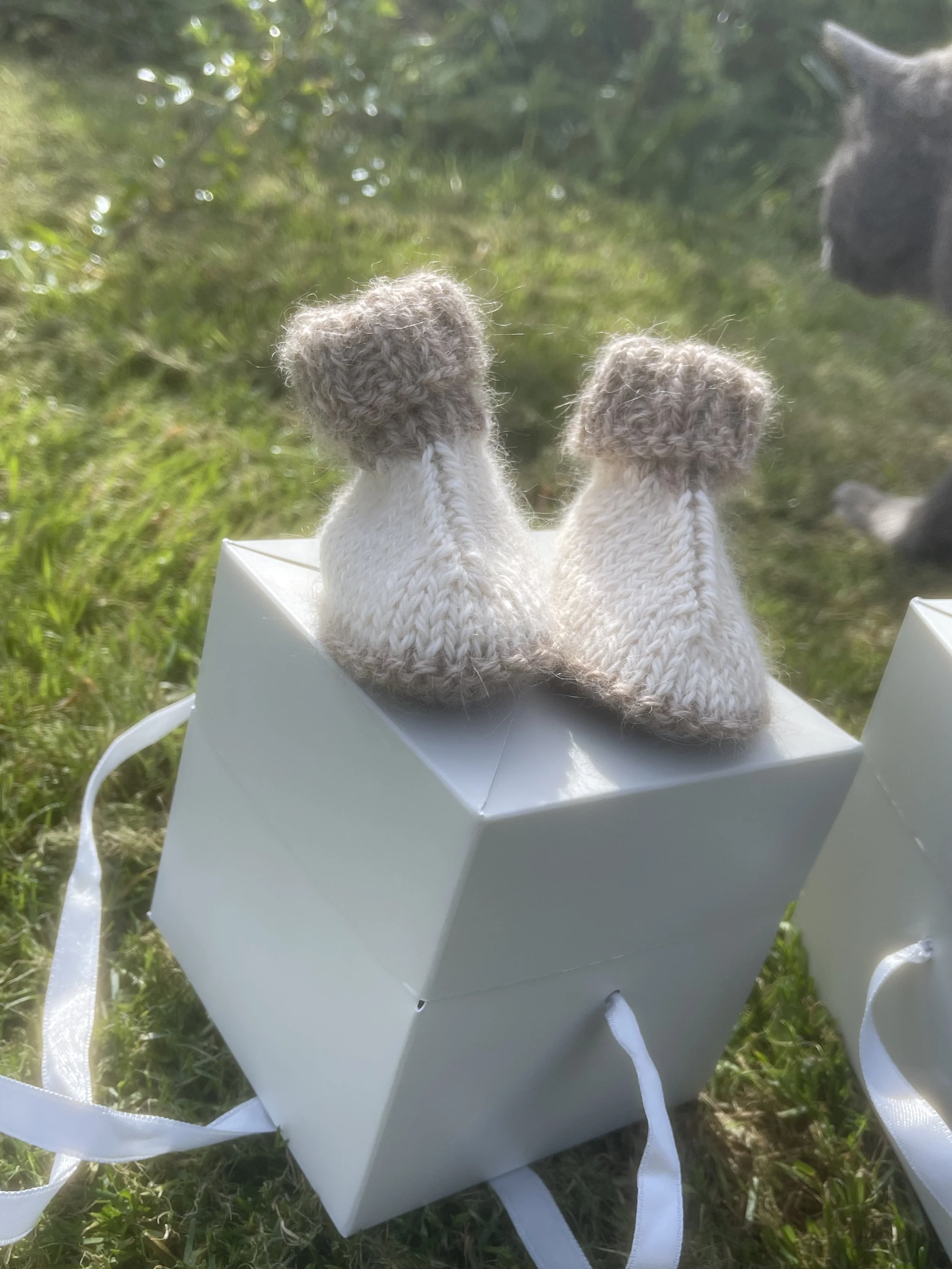 booties cream1.jpeg