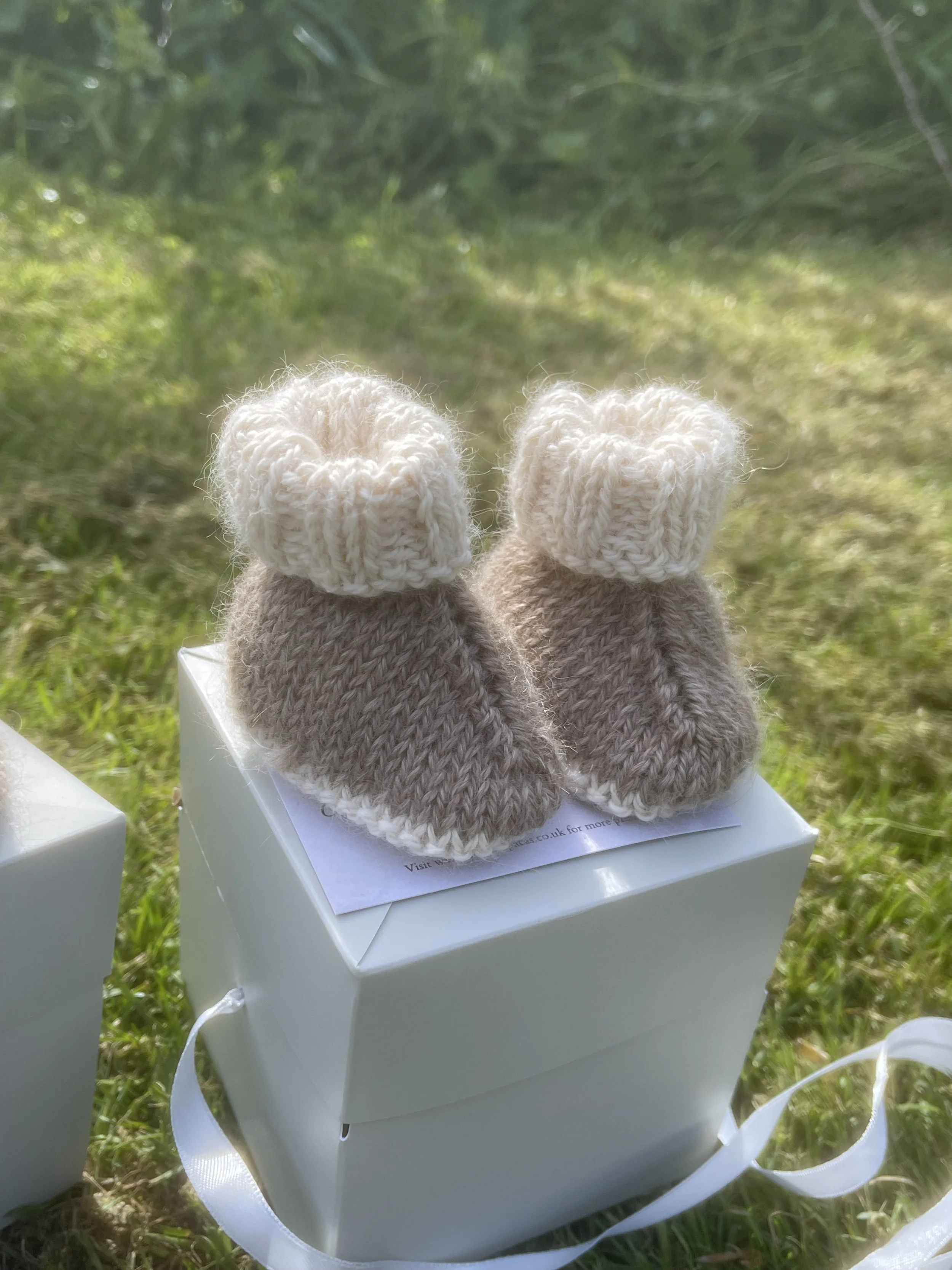 booties coffee1.jpeg